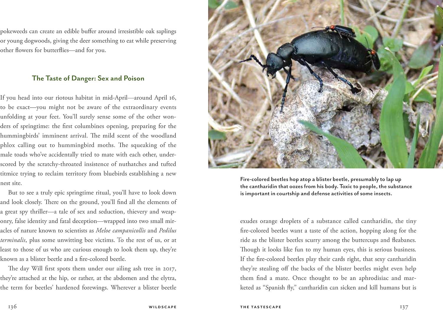Wildscape Hardcover Book: Sensory Wonders of Nature