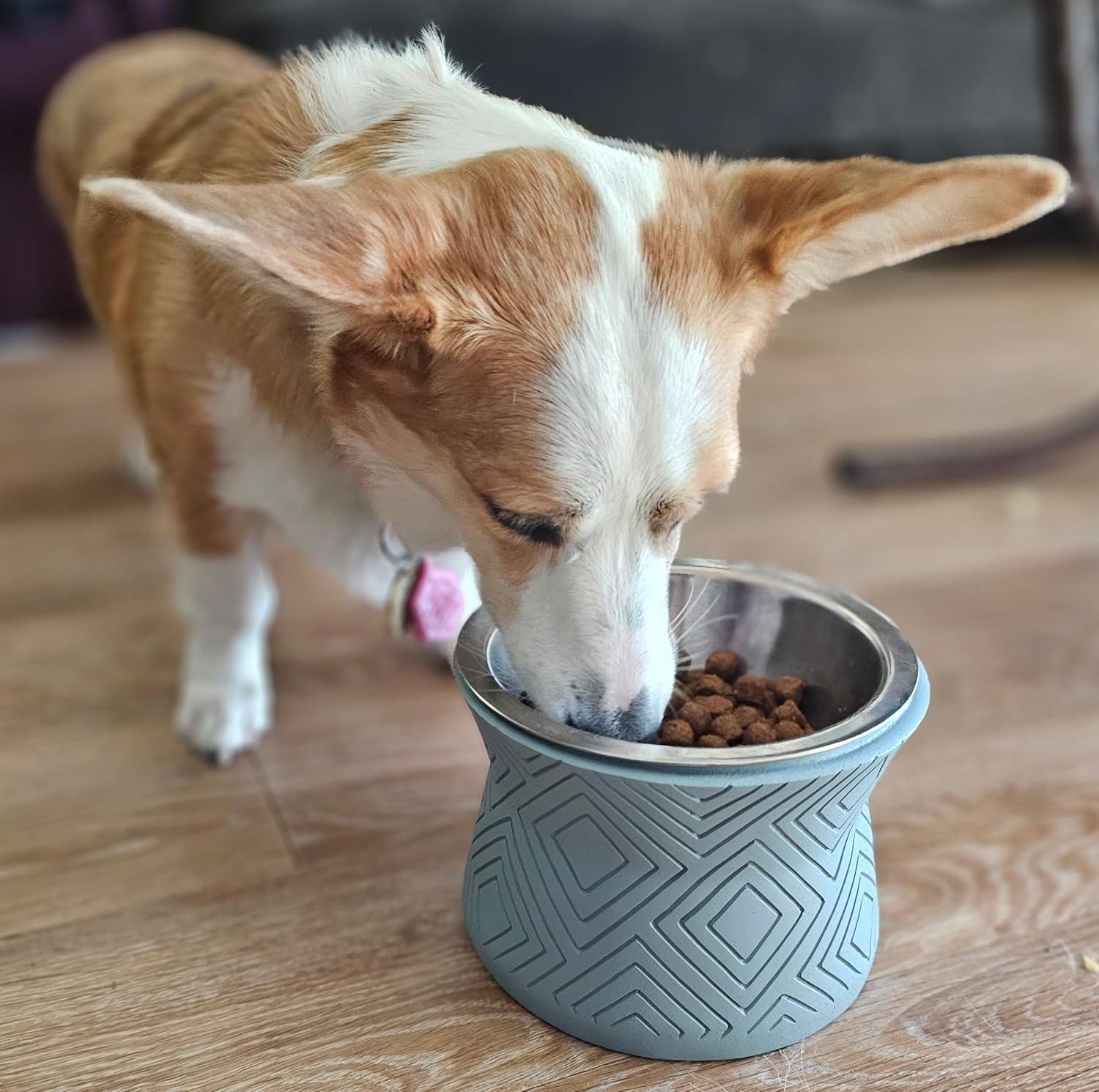 Icy Gray Small Elevated Pet Bowl with Stainless Steel Insert