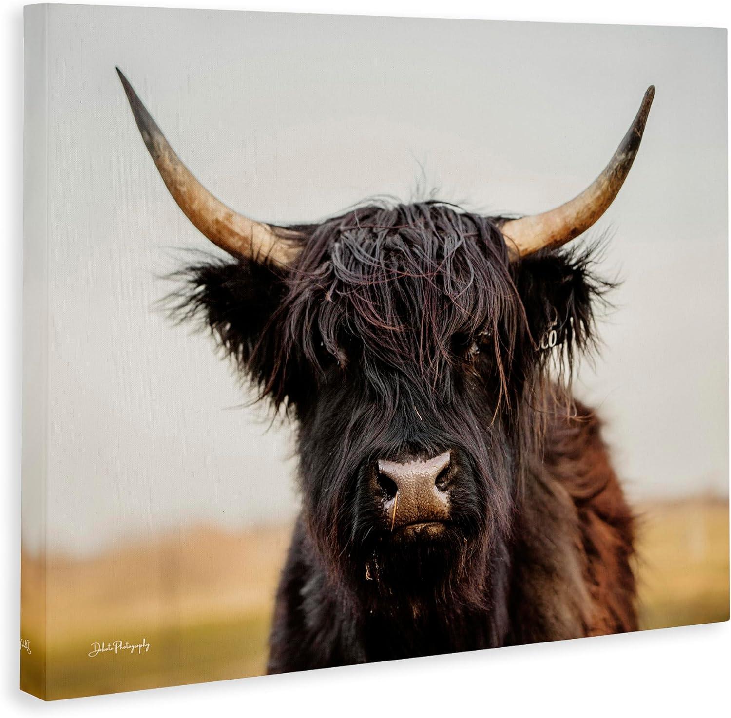 Stupell Industries Black Highland Cow Portrait, 30" x 24"