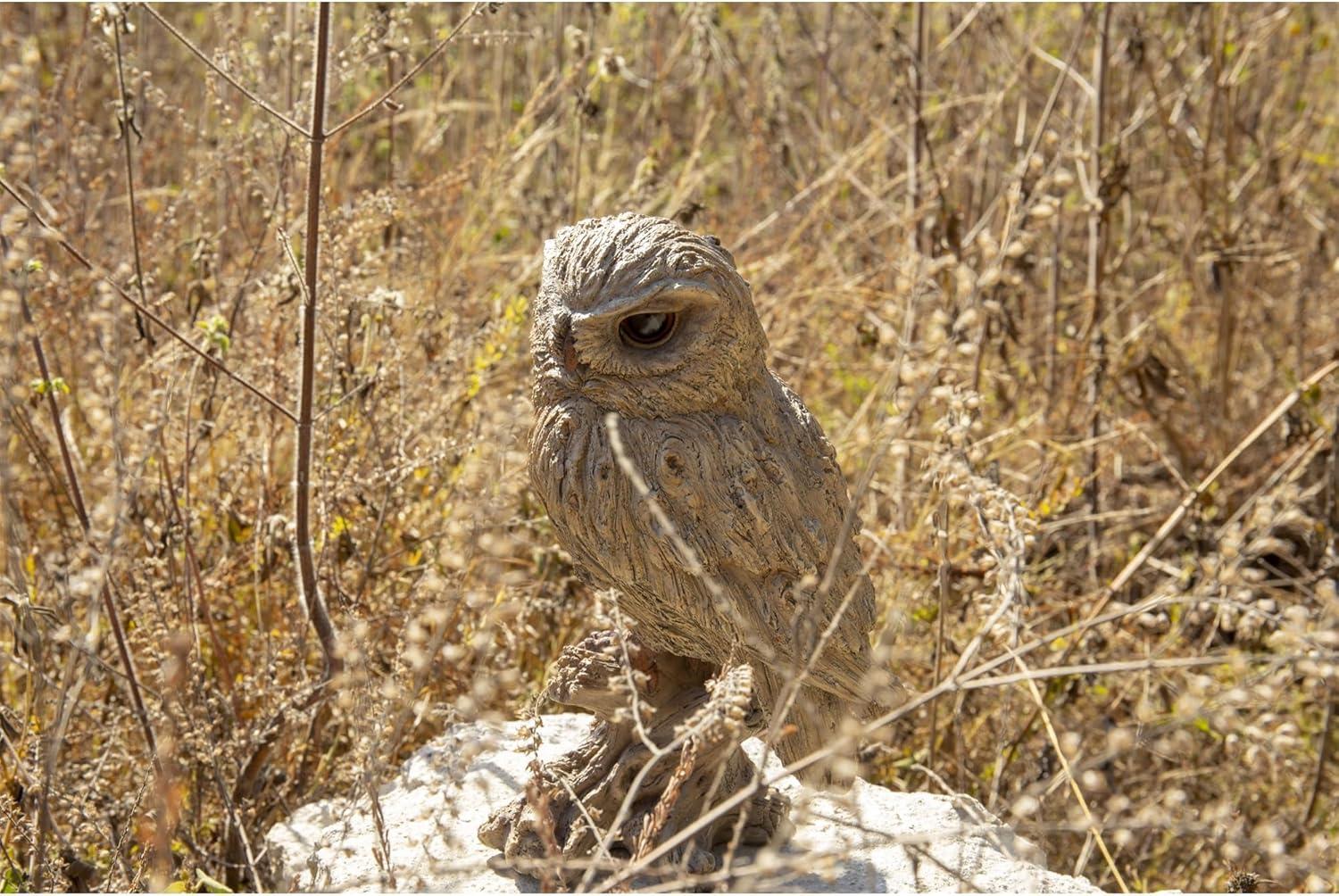 Trumpet Owl -Driftwood Look