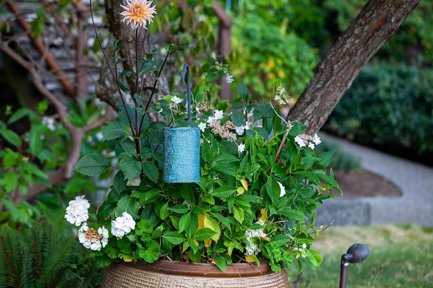Soji Stella Cylinder Solar Outdoor Lanterns - Set of 2