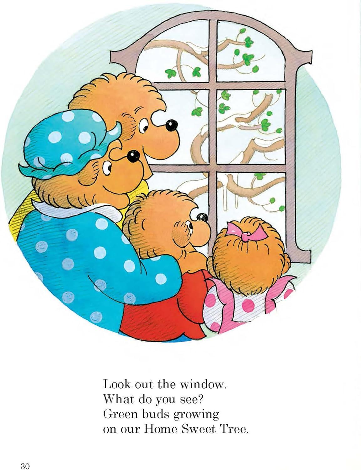 The Berenstain Bears' Storytime Treasury (Paperback)