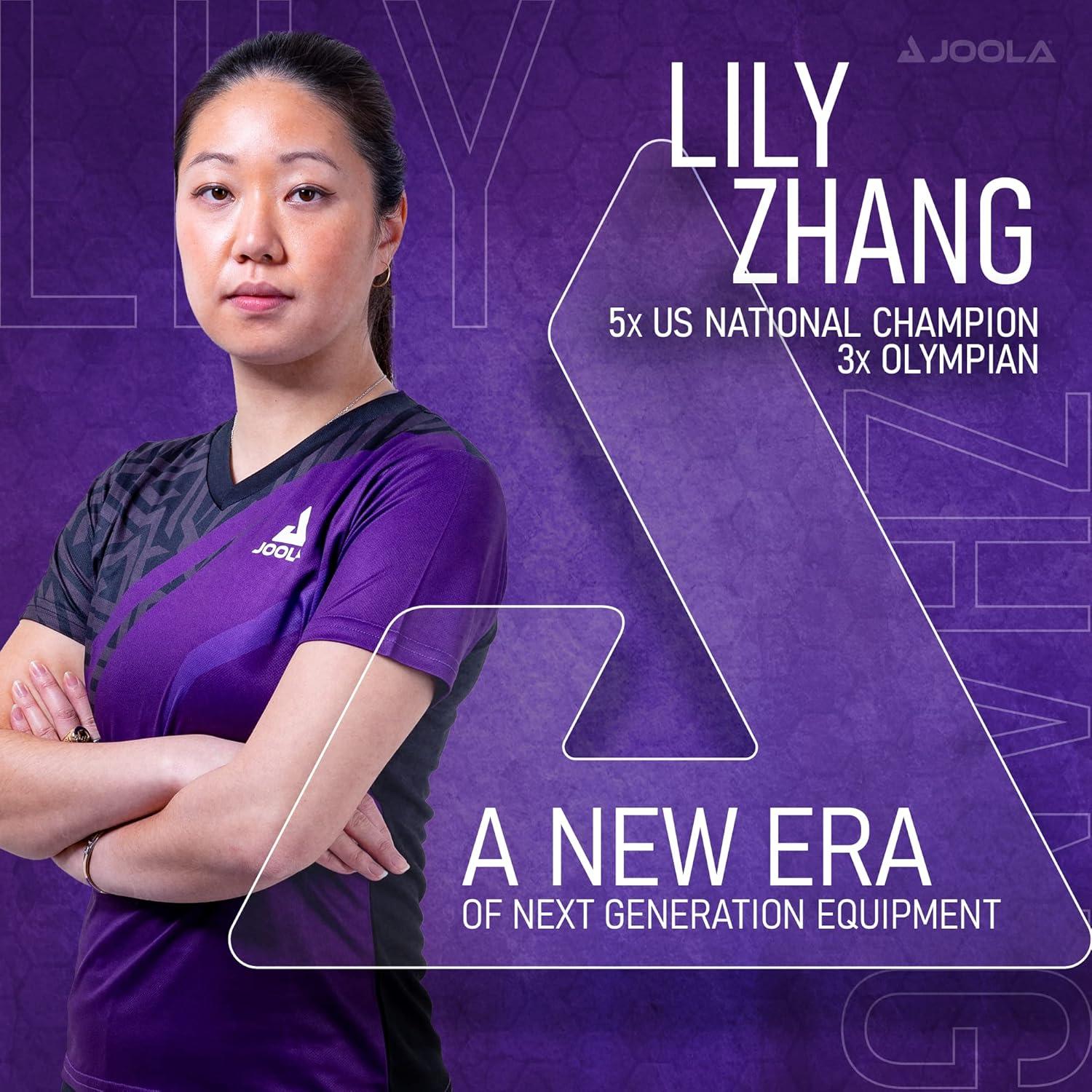 Joola USA Joola Inside, Indoor Table Tennis Table with Net and Post Set - 10 Minute Easy Assembly