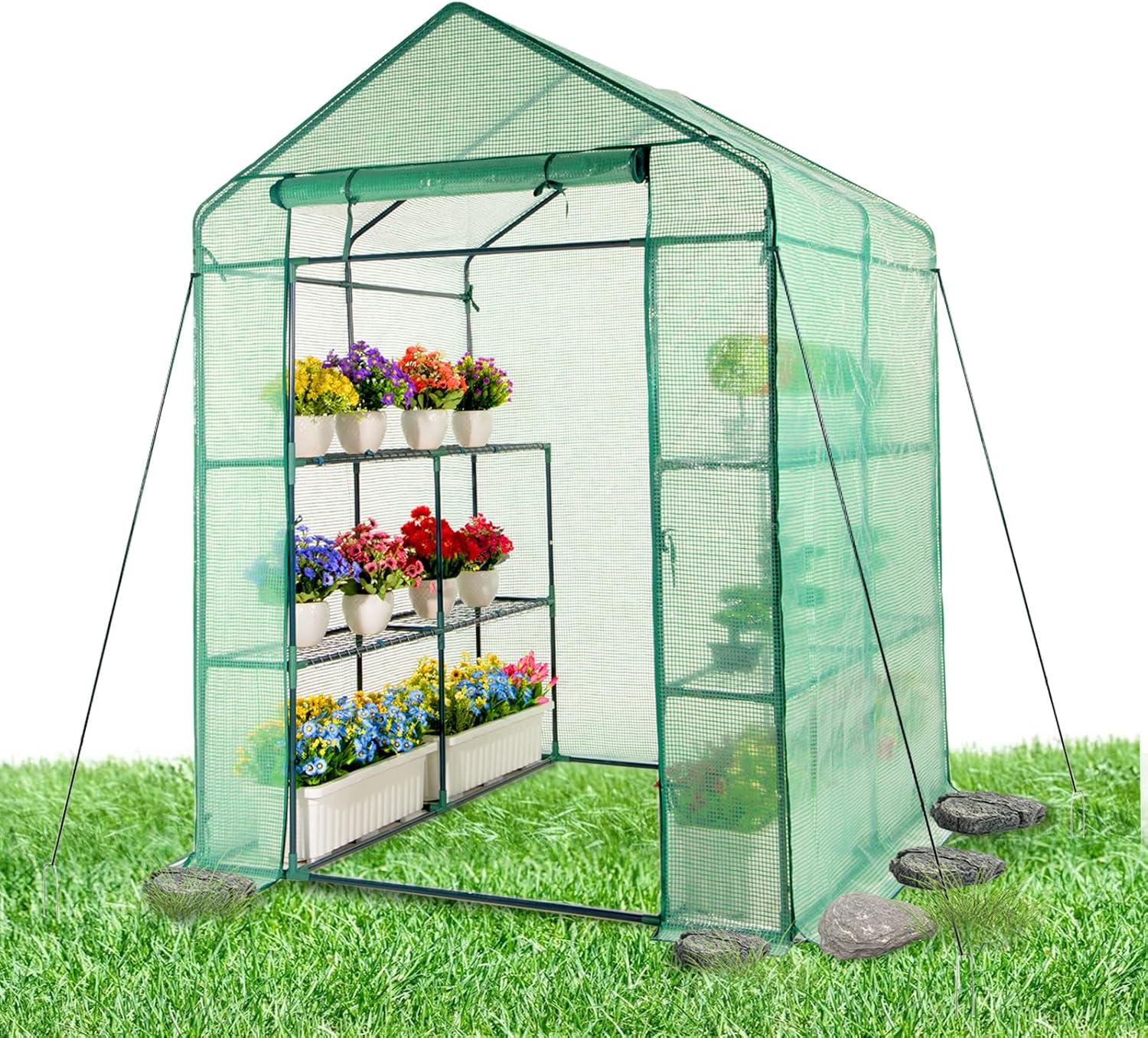 Green Walk-In Greenhouse with PE Cover and Steel Frame