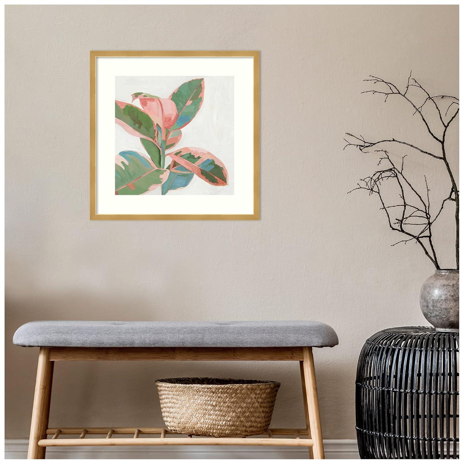 21" x 21" Ficus I by Asia Jensen Framed Wall Art Print Pink - Amanti Art: Modern Hardwood Frame, Botanical Lithograph
