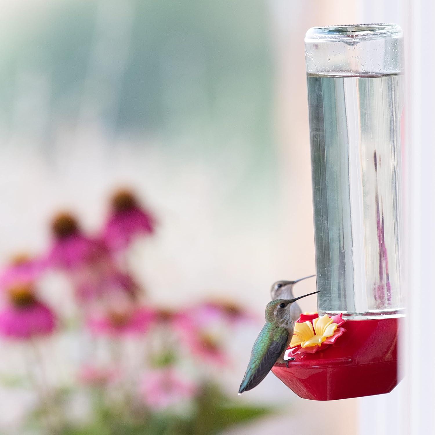 Perky-Pet 455-2 Mounted 445-2 Glass Window Hummingbird Feeder, Red – 14 oz