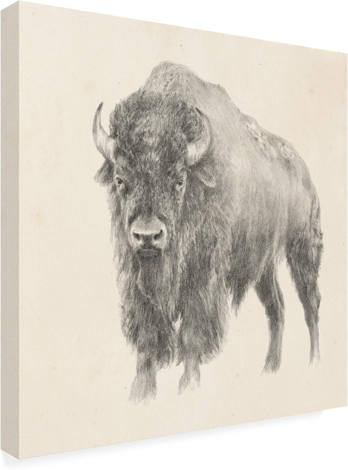 Trademark Fine Art 'Western Bison Study' Canvas Art by Ethan Harper