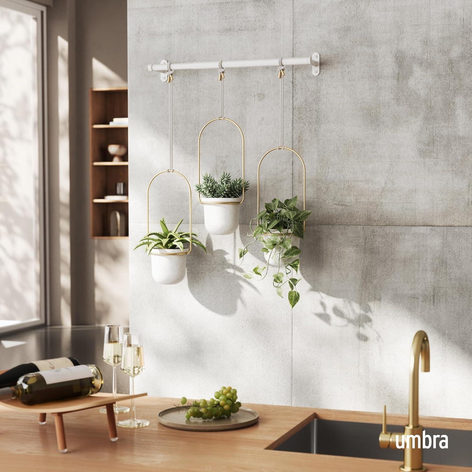 Umbra Triflora 3 Hanging Wall Planter