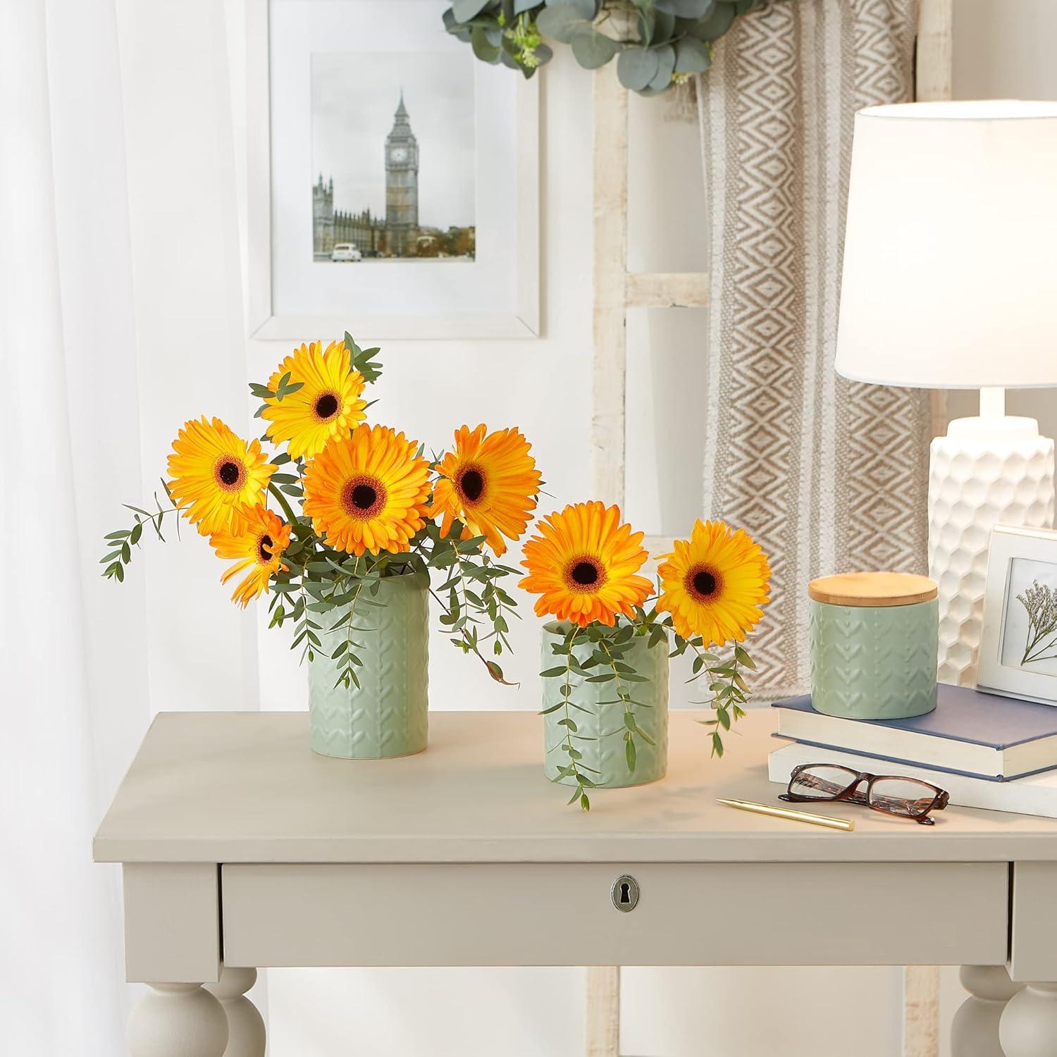 Design Imports Jadeite Matte Retro Vine Texture Ceramic Canister Set/3