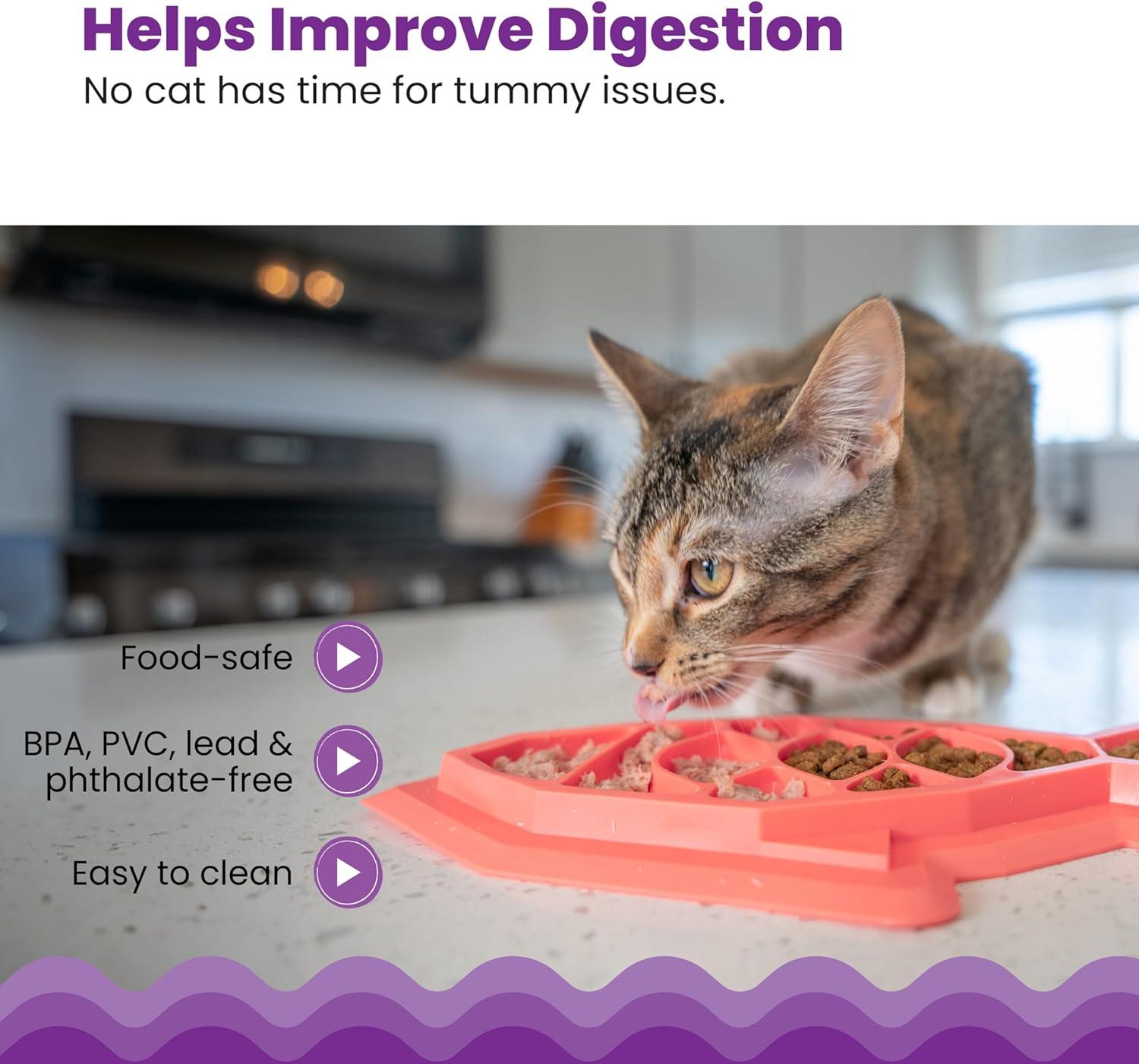 Petstages Fishie Fun Feed Mat Slow Feeder Cat Bowl