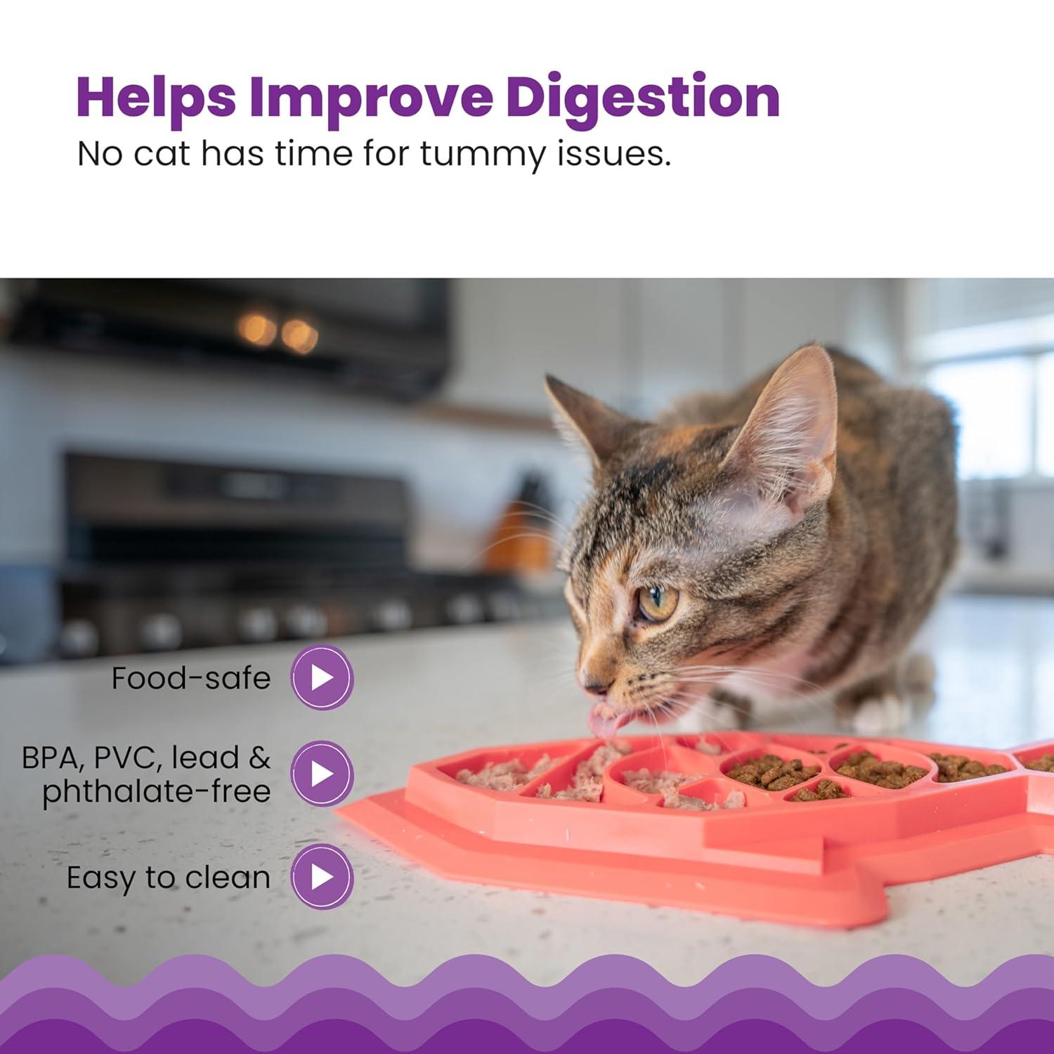 Petstages Fishie Fun Feed Mat Slow Feeder Cat Bowl