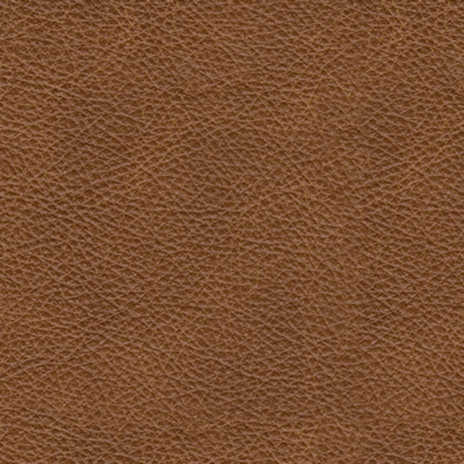 Signature Design by Ashley Carianna Caramel Queen Sofa Sleeper