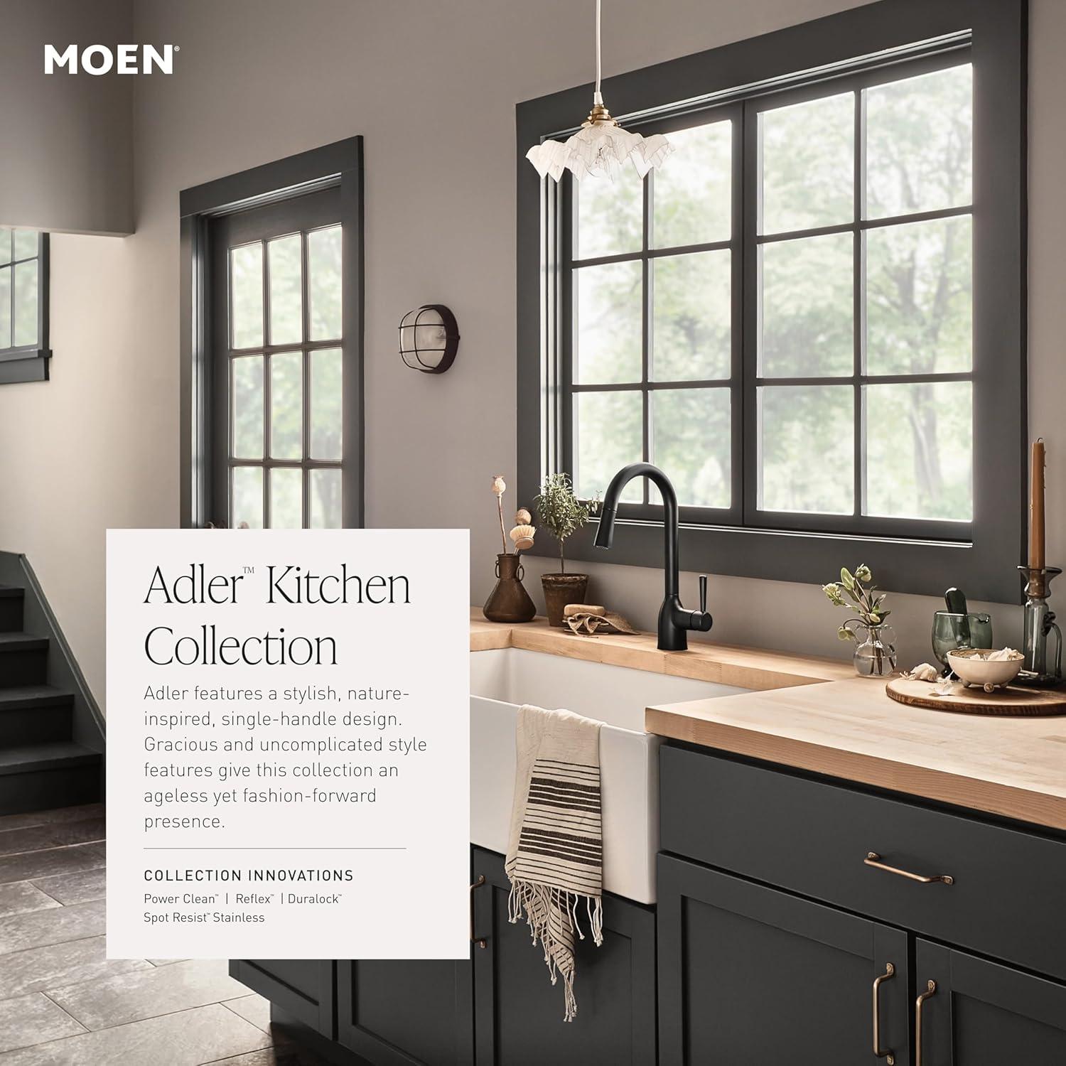 Moen Adler Pull Down Single Handle Kitchen Faucet with Accessories 87233BL