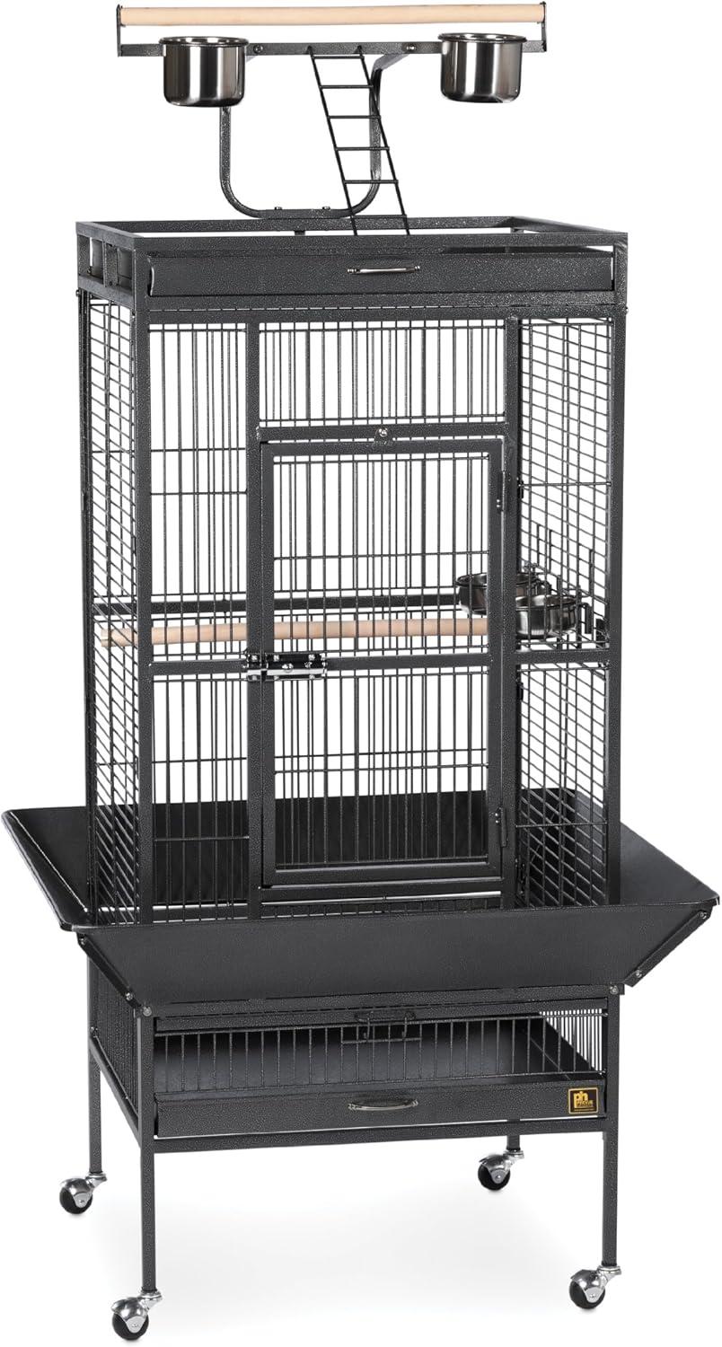 Prevue Pet Products 3152BLK Wrought Iron Select Bird Cage, Black Hammerstone