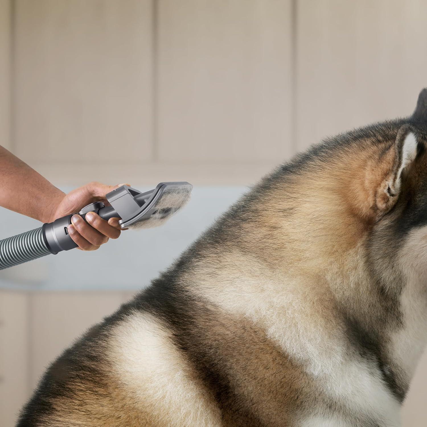 Adjustable Gray Stainless Steel Pet Grooming Vacuum Attachment