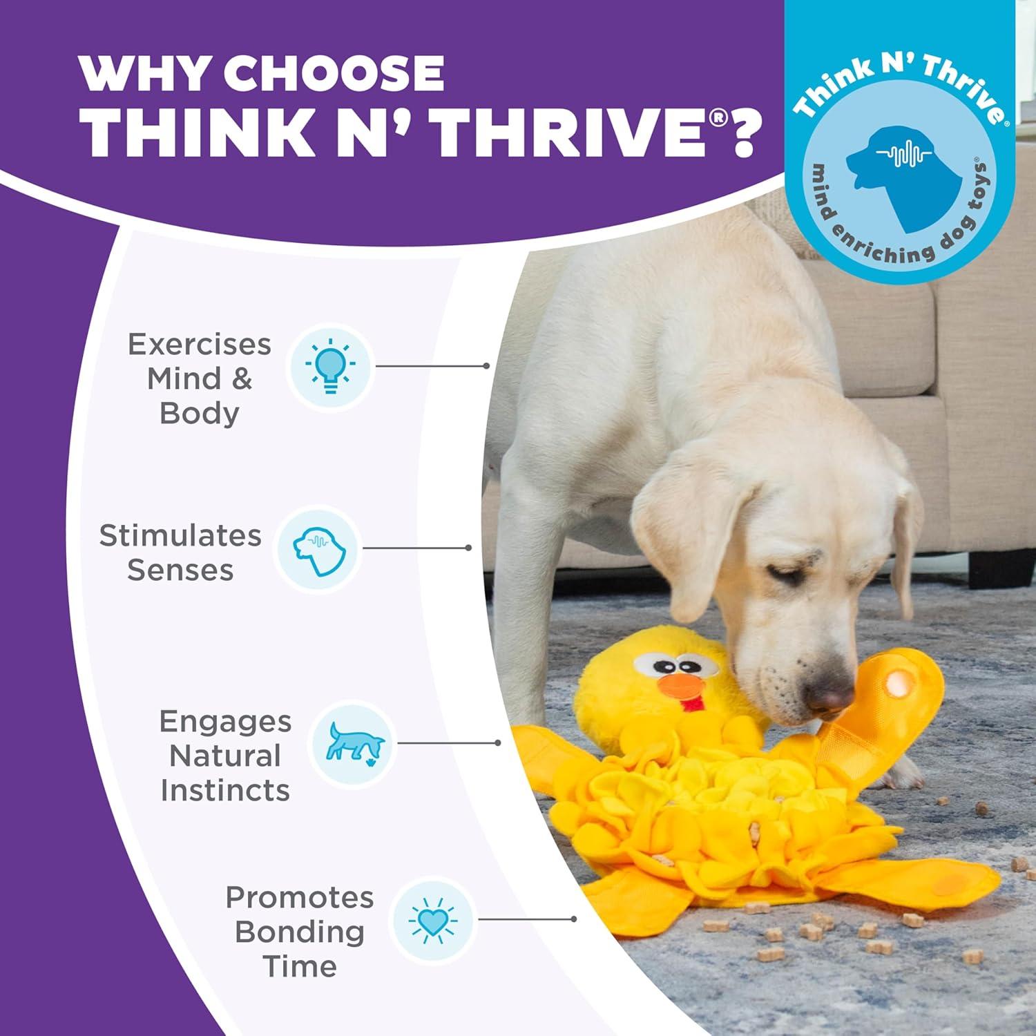 Kyjen 103804 Outward Hound Snuffle Palz Chicken Dog Toy - Large