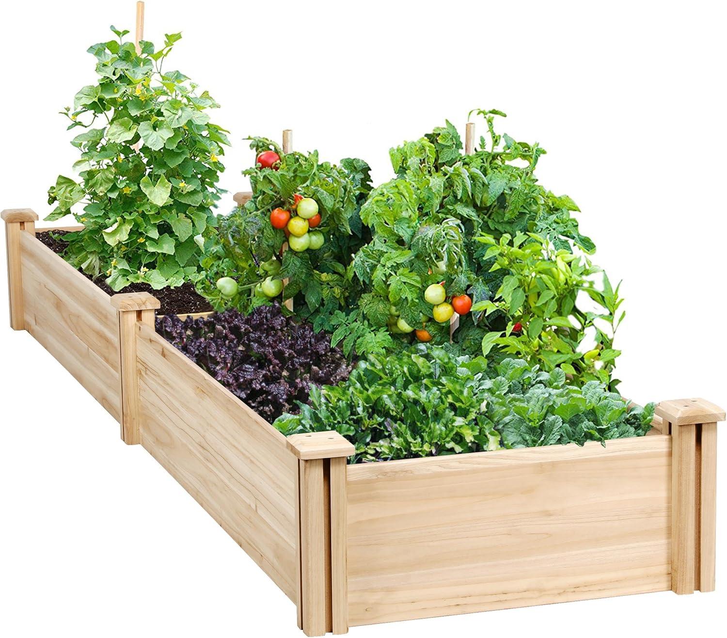 Natural Wood 8x2ft Raised Garden Bed for Outdoor Patio