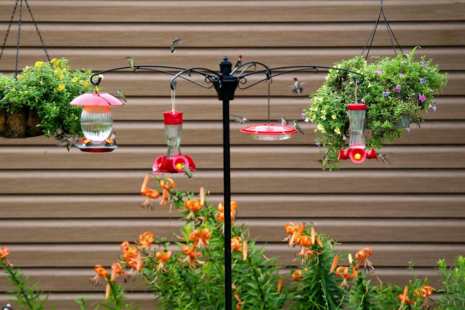 Brome Squirrel Guard