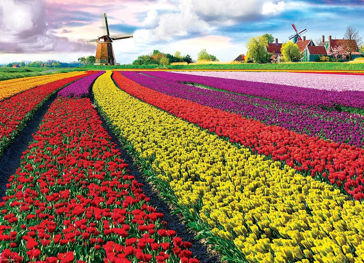 Tulip Field - Netherlands 1000-Piece Puzzle