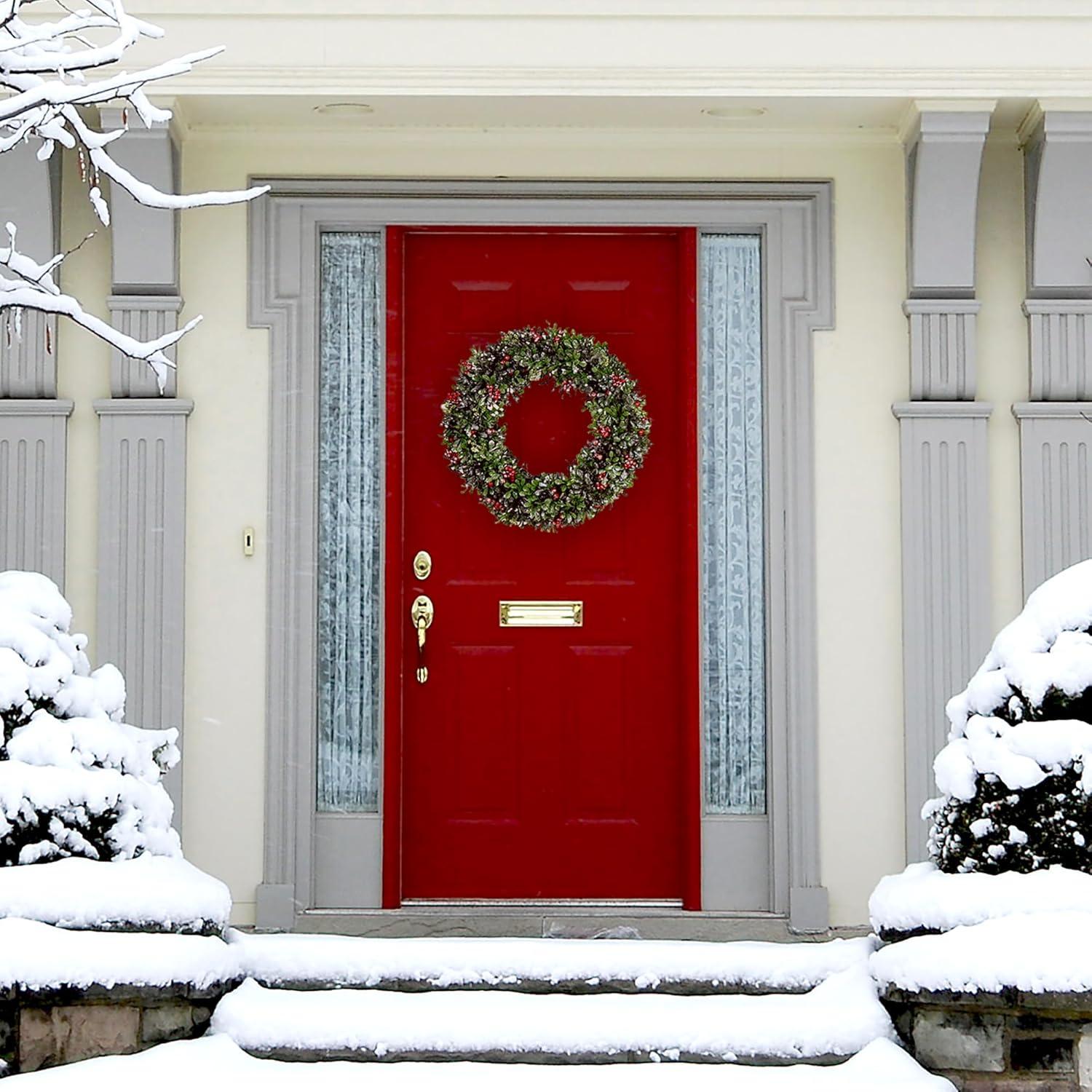 Fraser Farm Hill FHF 20" Round Wreath, Boxwood w/ Berries