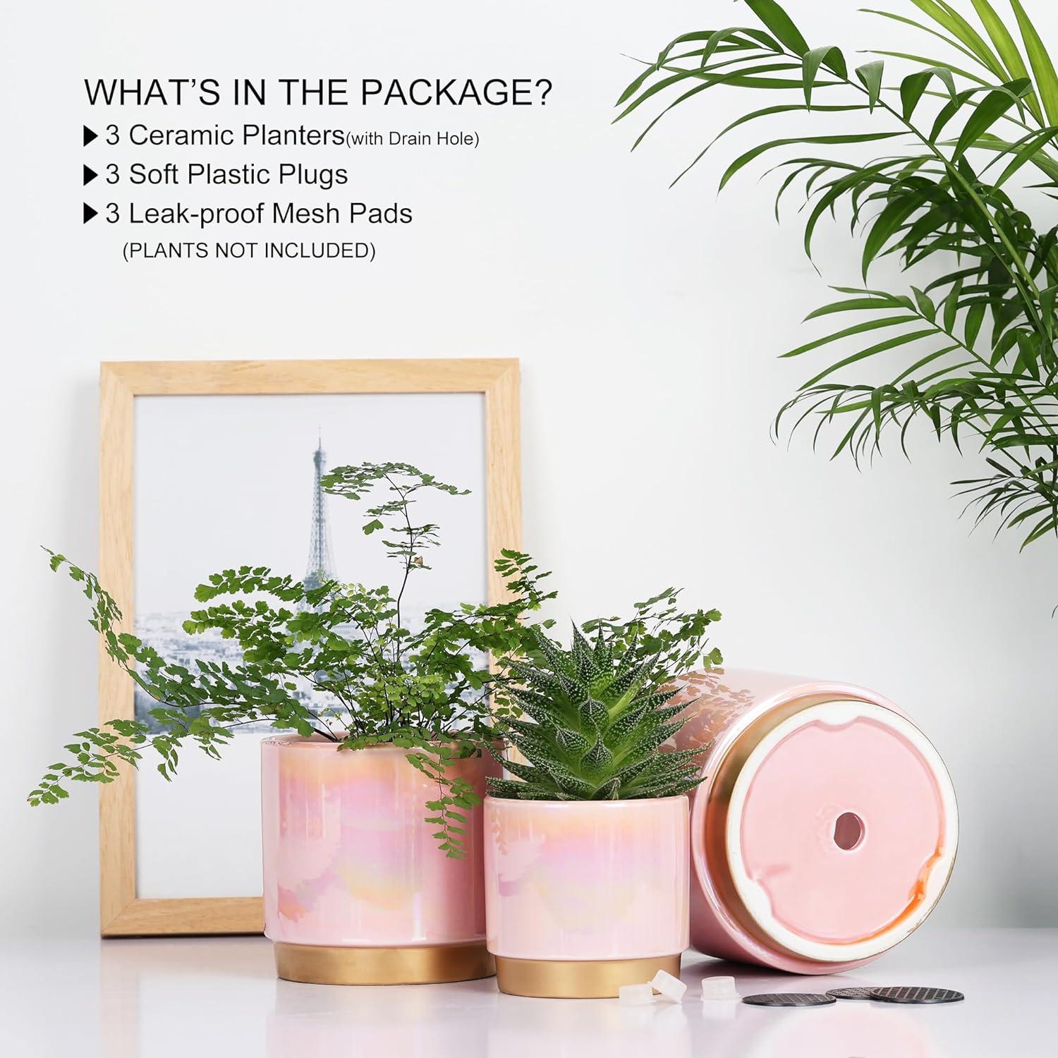 Set of 3 Pink Ceramic Bohemian Planters with Drainage