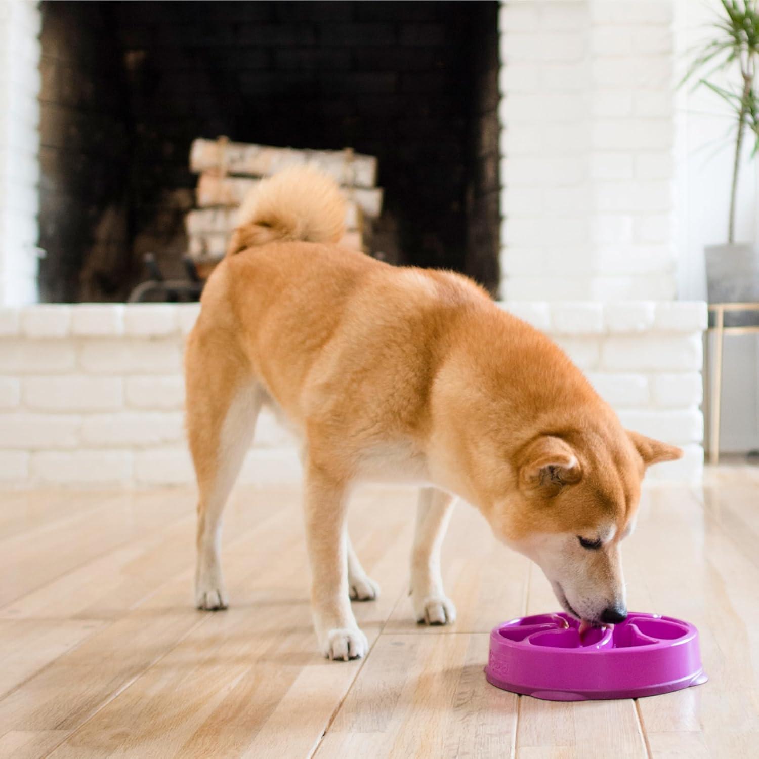 Outward Hound Fun Feeder Slo Bowl, Medium Slow Feeder Dog Bowl, 2 Cups, Purple