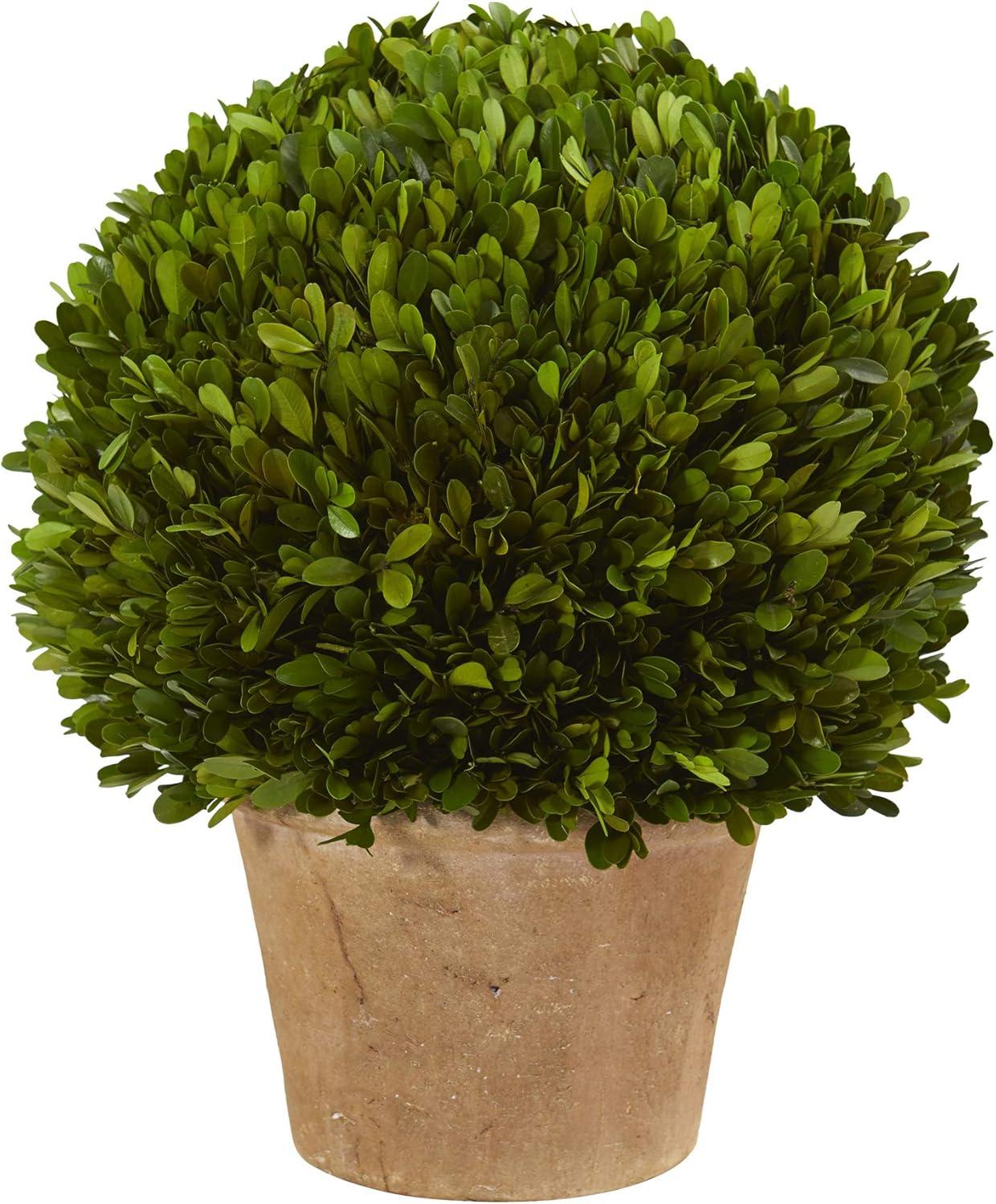 Nearly Natural 15-in Boxwood Ball Preserved Plant in Planter