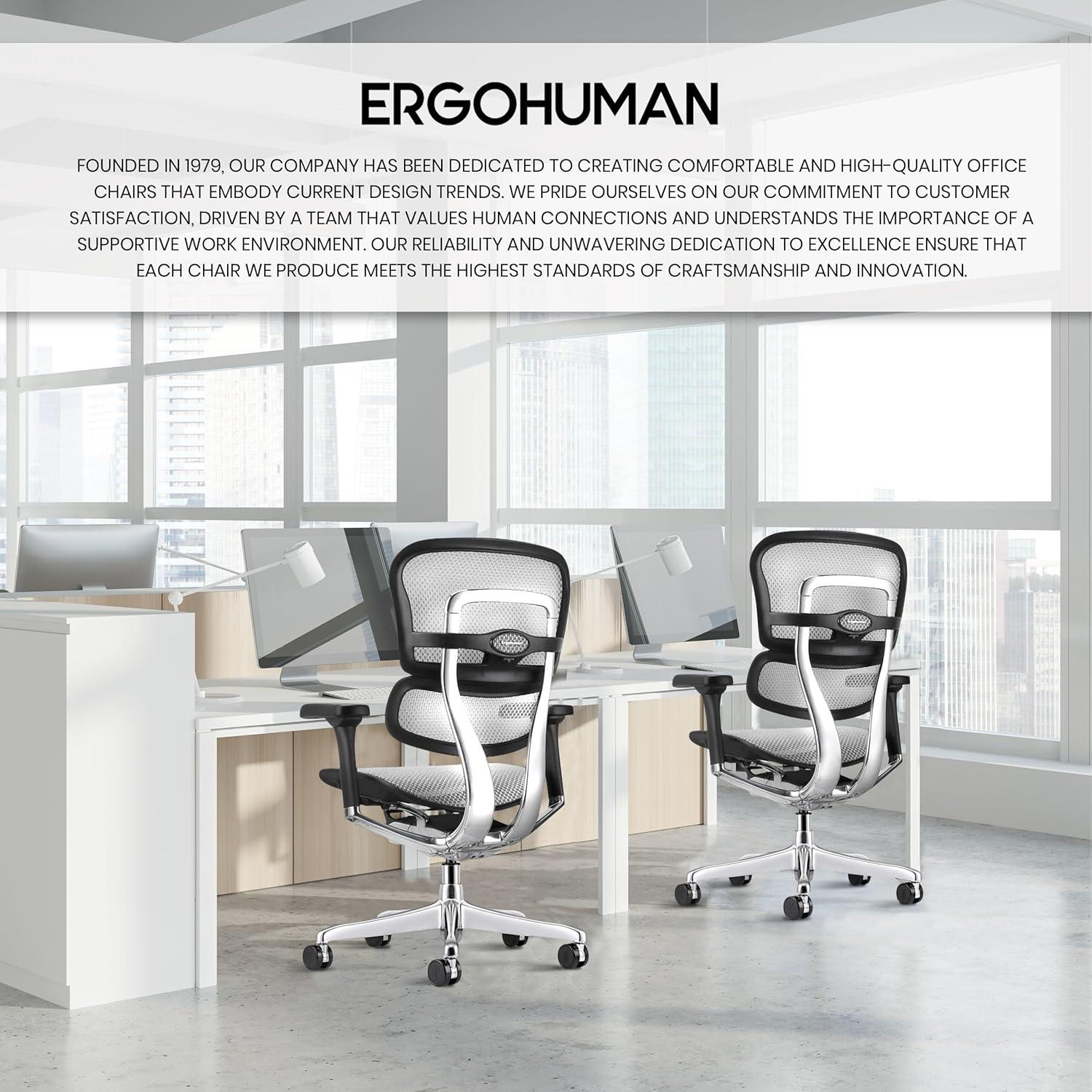 Eurotech Seating Ergohuman Task Chair