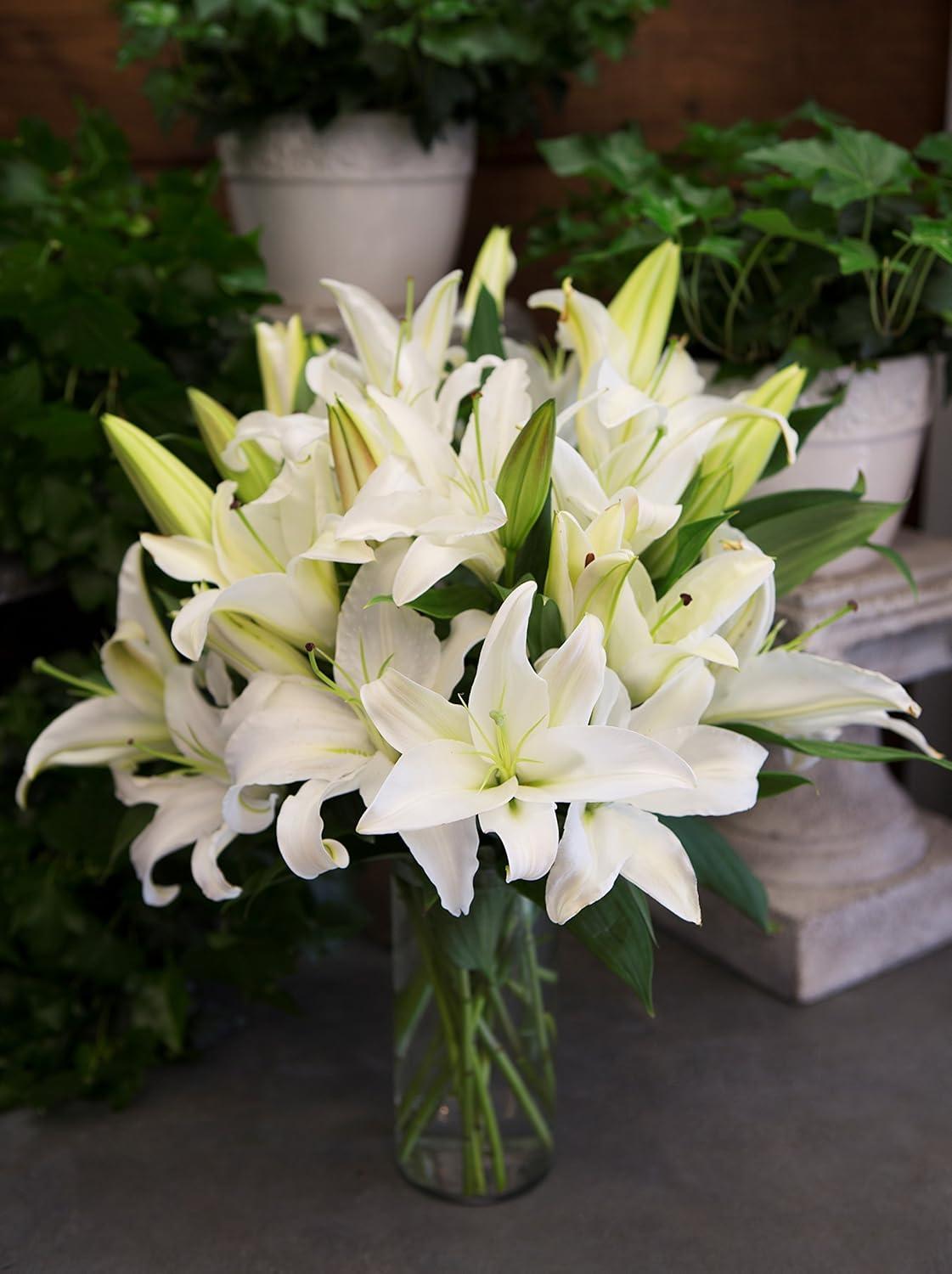 KaBloom : 10 White Lilies, Next-Day Delivery, Gift for Every Occasion.