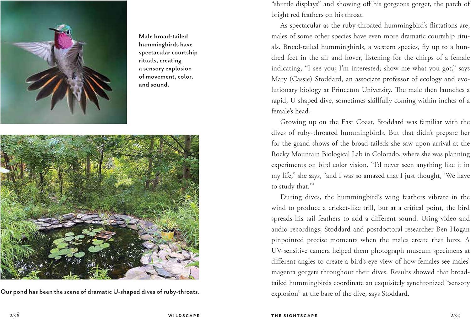Wildscape Hardcover Book: Sensory Wonders of Nature