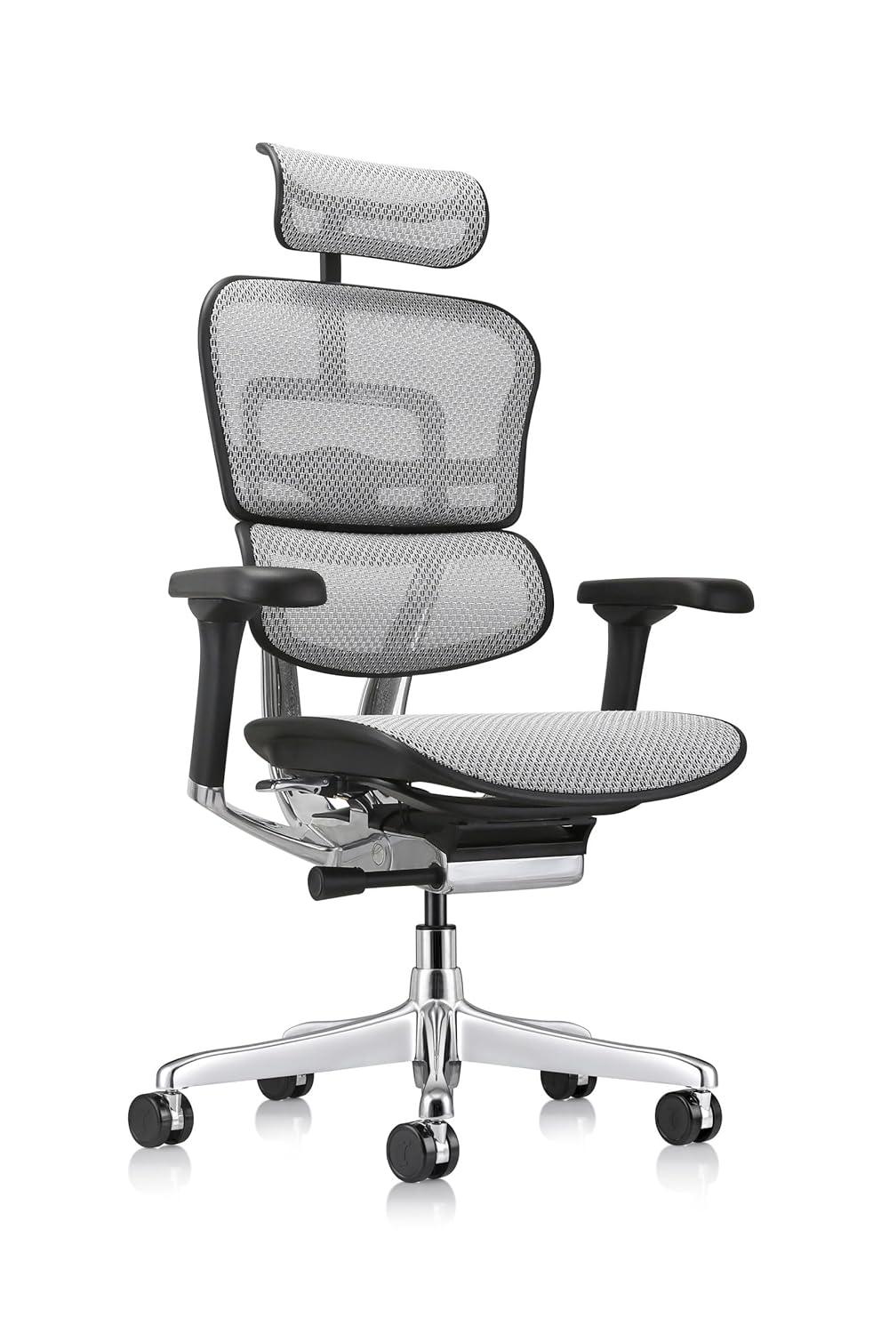Eurotech Seating Ergohuman Executive Chair with Headrest