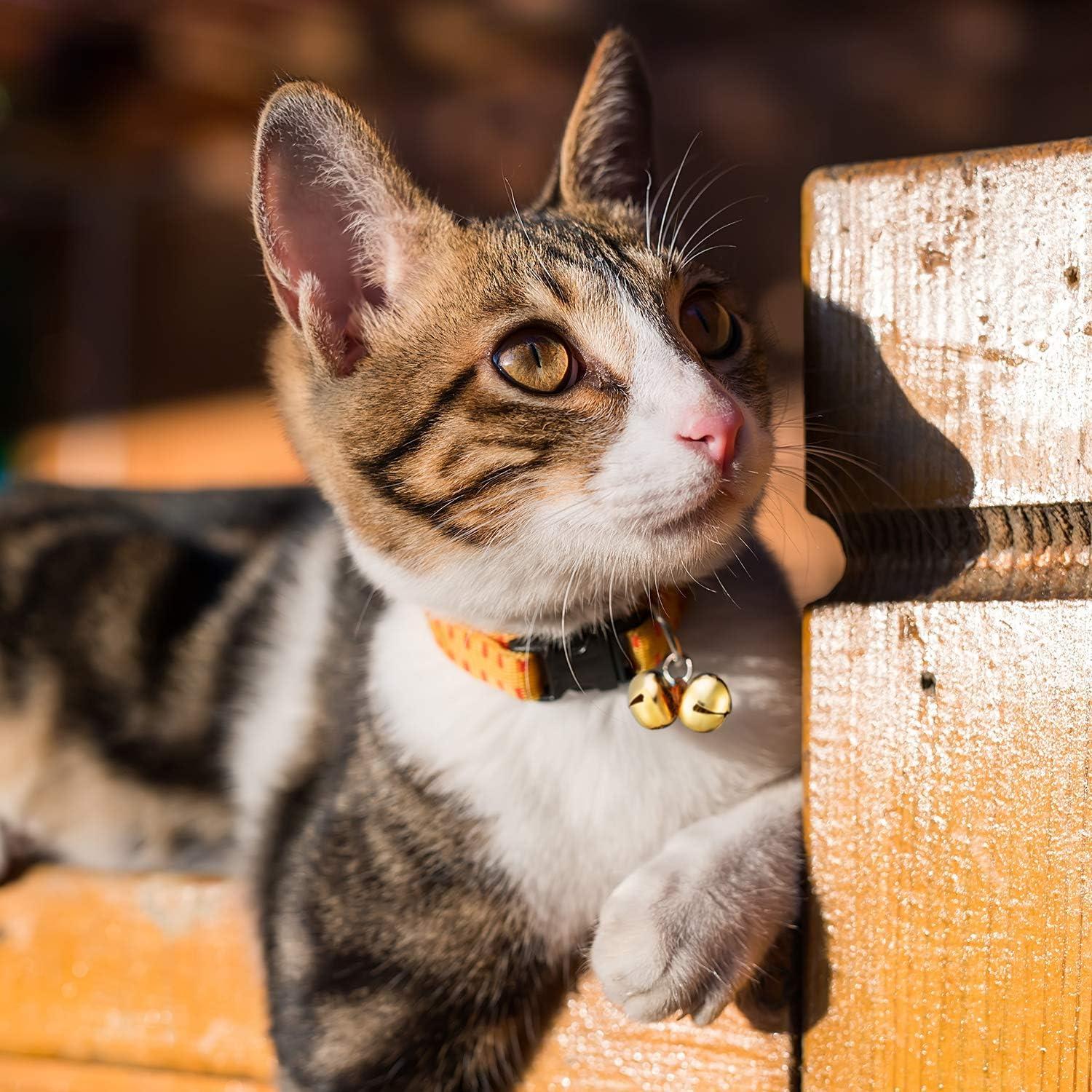 Zhanmai 200 Piece Jingle Bells, 1/2 Inch Craft Bells Bulk for Christmas, DIY Wreath, Holiday Home and Christmas Decoration (Silver/Gold)