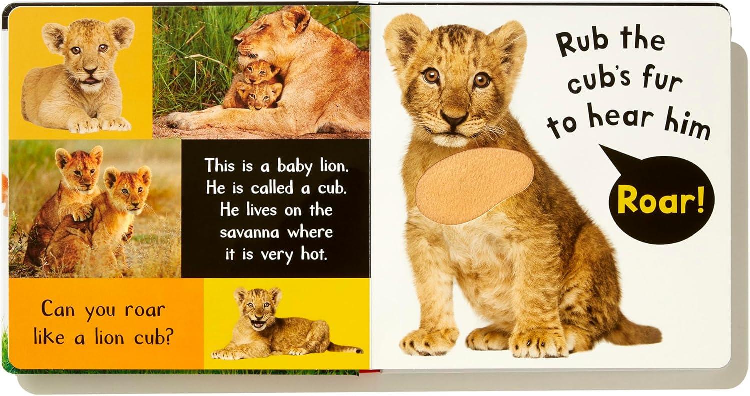 Noisy Baby Animals - (My First) by Patricia Hegarty (Board Book)