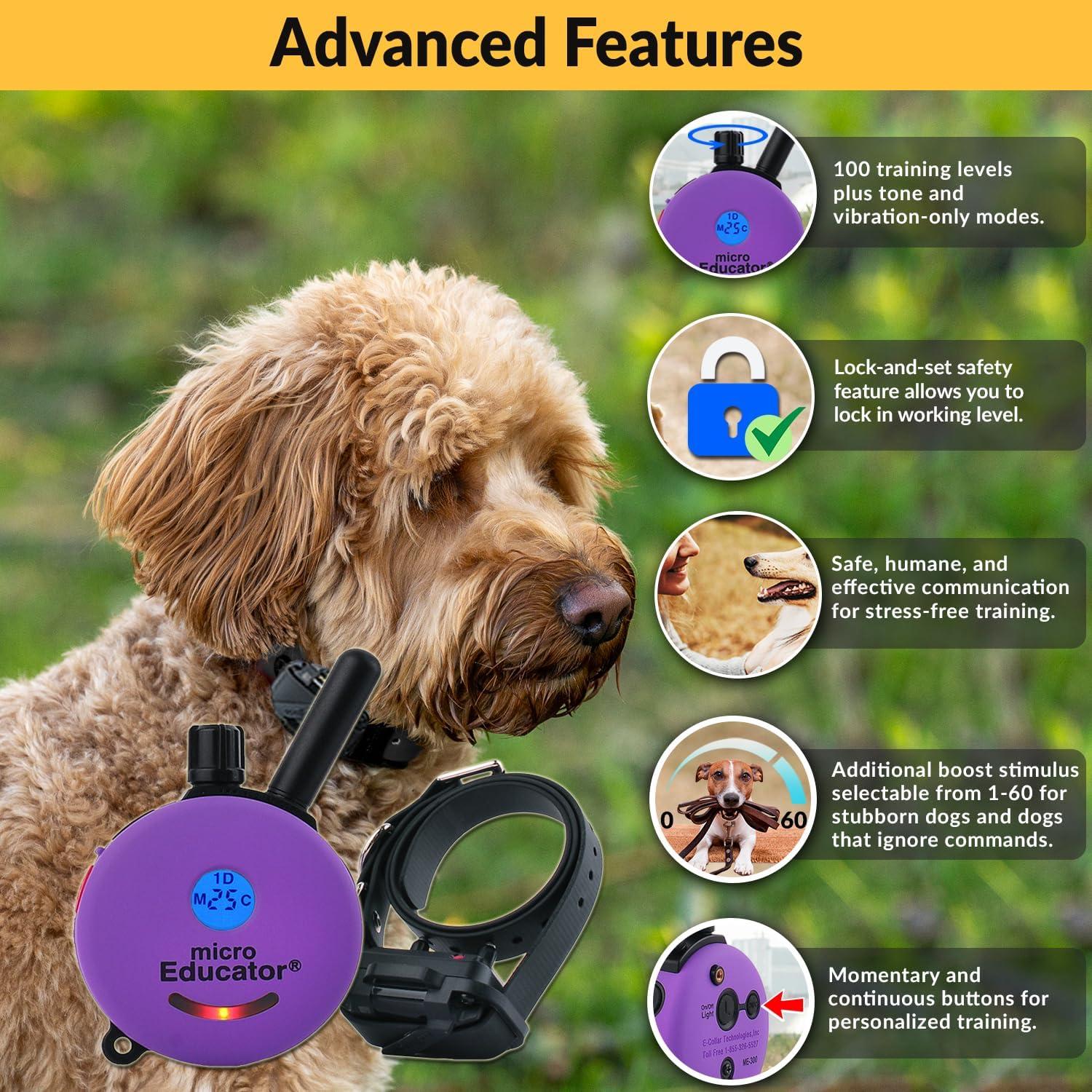 Educator Small Dog Breeds ME-300 Micro 1/3 Mile E-Collar Remote Dog Training Collar with Vibration, Tapping Sensation & Pavlovian Stimulation, Purple