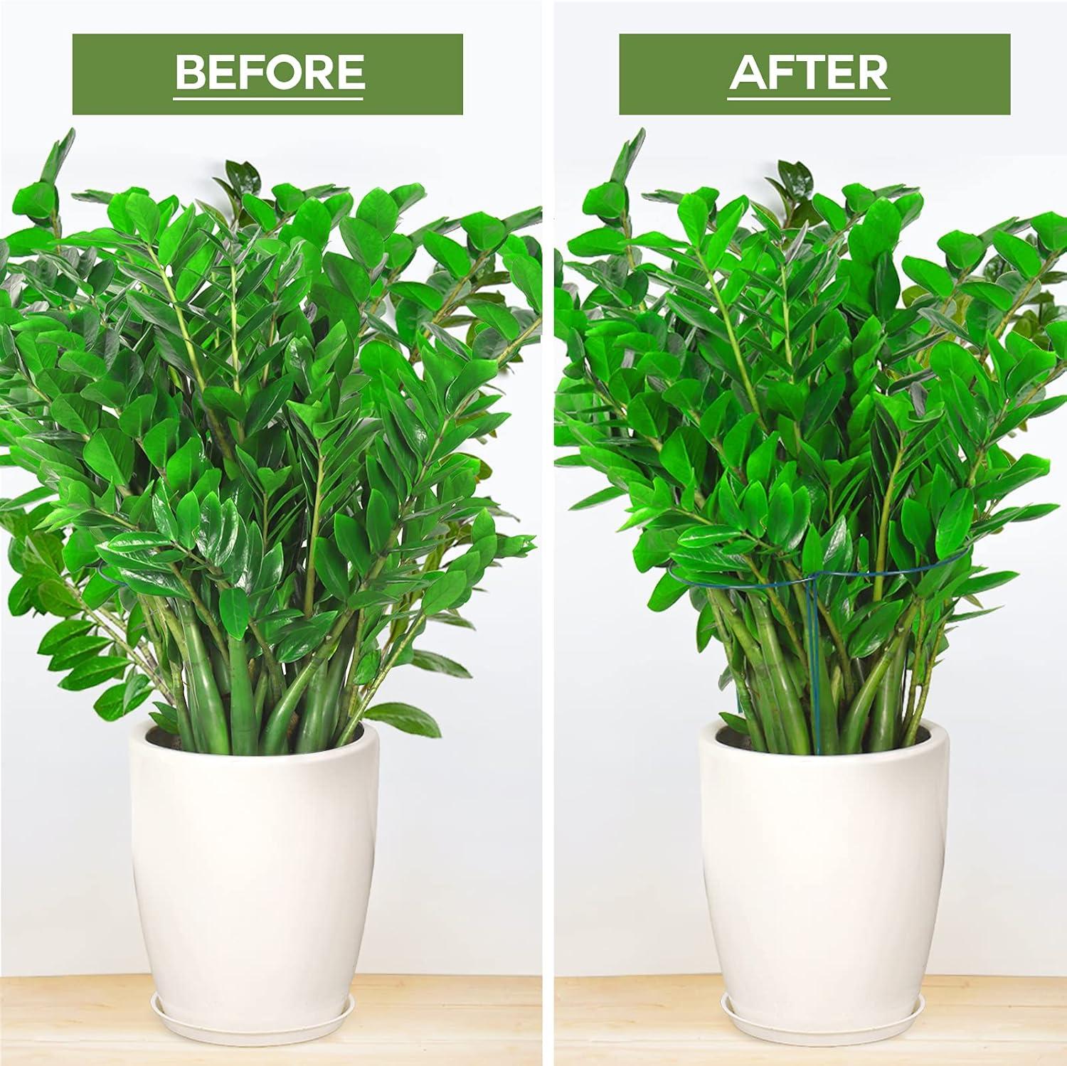 LEOBRO Plant Support Stakes, 6PCS Plant Stakes, Plant Support, Garden Stakes, Peony Cages and Supports, Plant Supports for Outdoor Plants, Monstera Tomato Hydrangea Support Cage, 9.8" W x 15.7" H C48