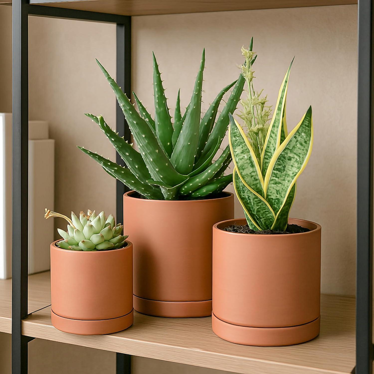 D'vine Dev Terracotta Pots for Plants, 4.2 Inch 5.3 Inch 6.5 Inch, Succulent Planter Pot with Drainage and Saucer, 40-T-A-0