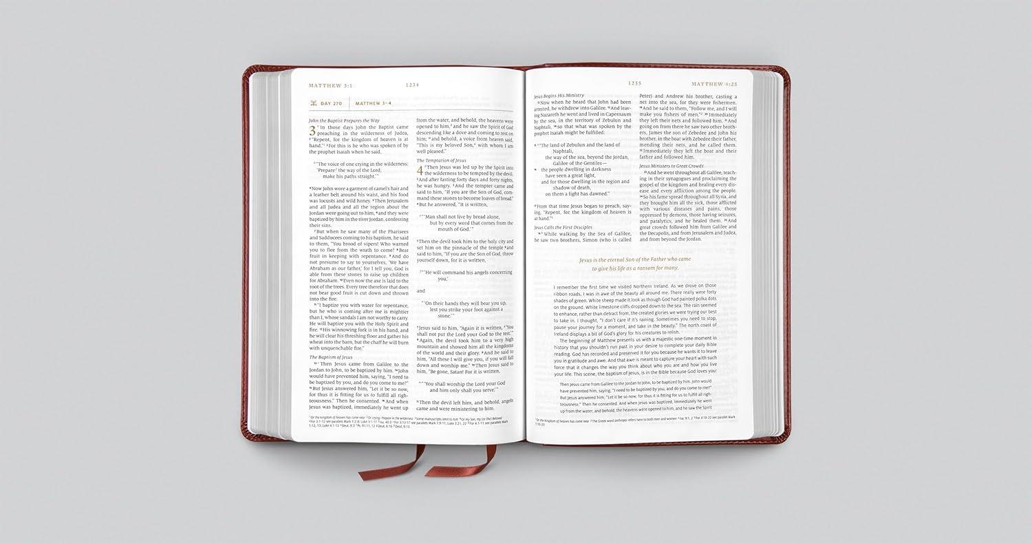 ESV Everyday Gospel Bible - (Leather Bound)