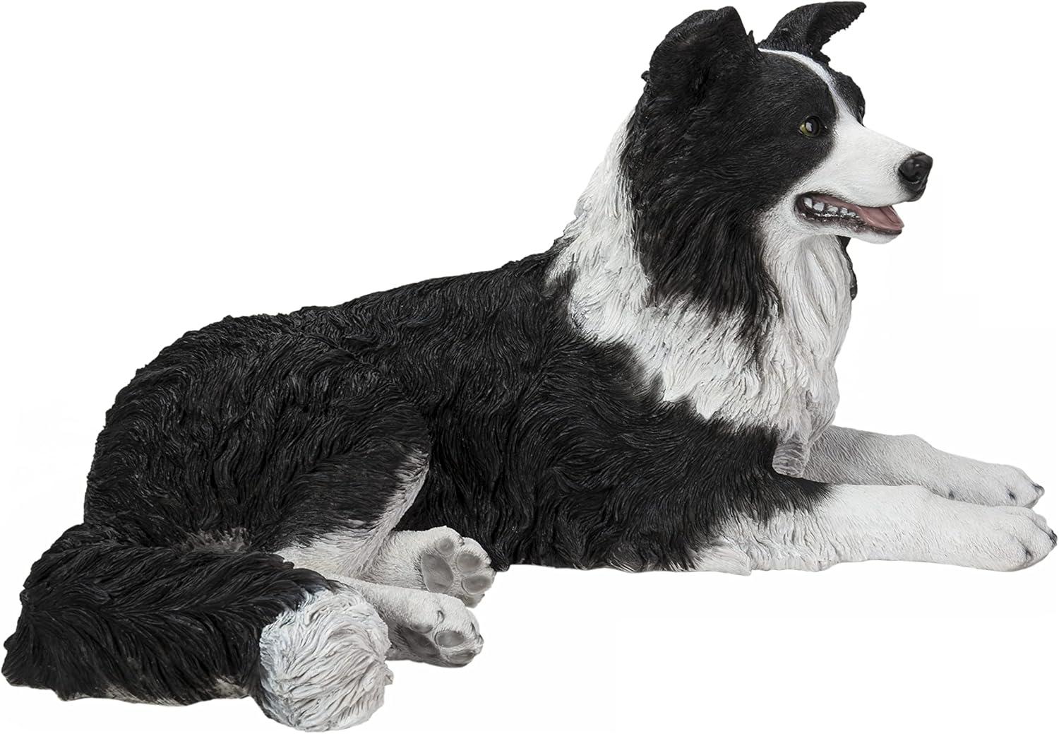 Lying Border Collie