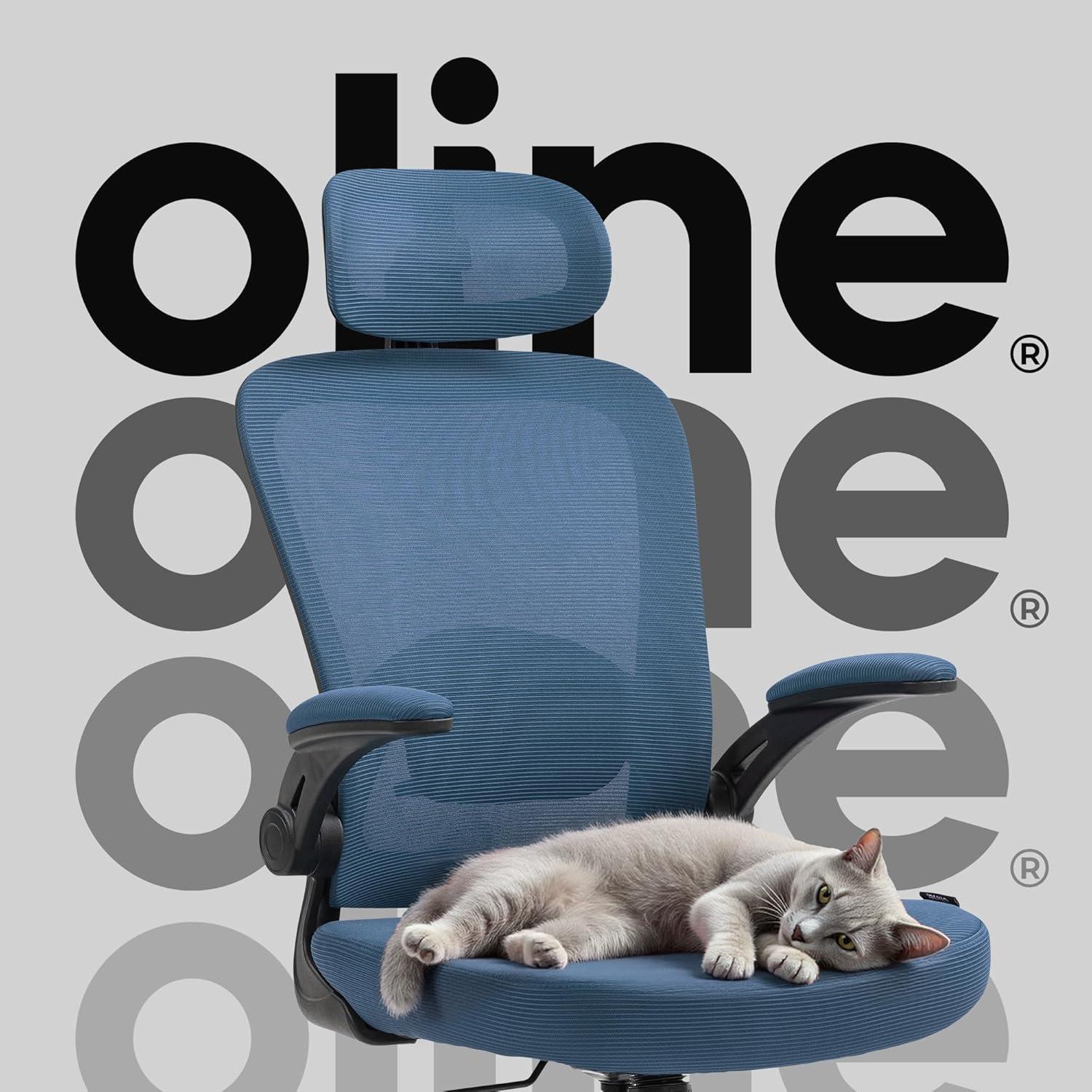 Navy Blue Mesh Ergonomic Office Chair with Adjustable Arms