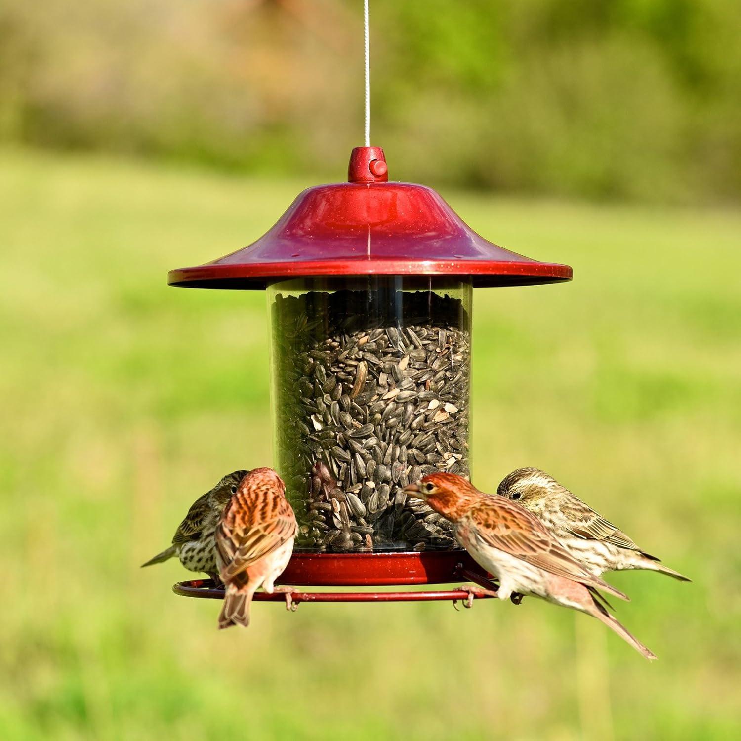 Perky-Pet Wild Bird 2 lb Metal/Plastic Panorama Bird Feeder 1 ports Model No 312R (Case of 2)