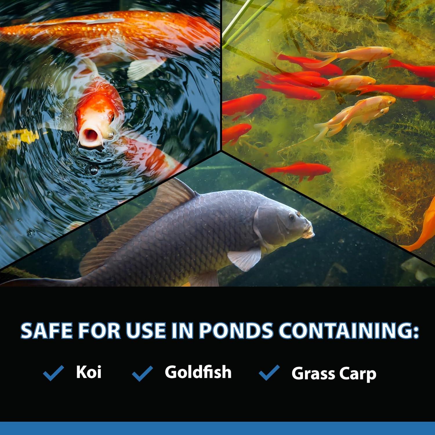 CrystalClear AlgaeOff Pond & Water Garden Scum Cleaner, Waterfall & Rock Slime Remover, String Algae Killer, Green Stain Treatment, EPA Registered Algaecide, Plant, Koi Fish, Bird & Pet Safe, 8 lbs
