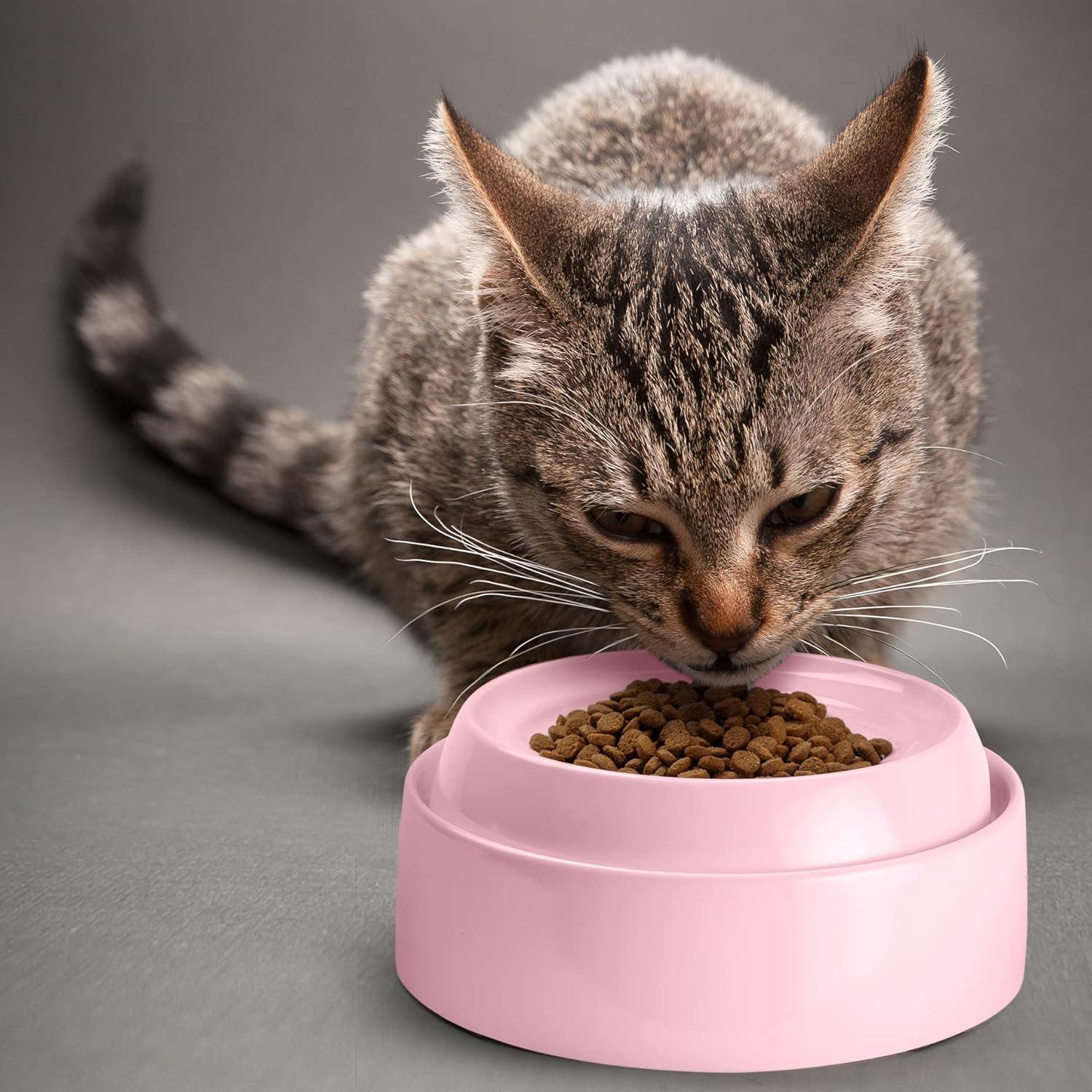 CatGuru Cat Bowls, Whisker Stress Free Cat Food Bowl, Reliefs Whisker Fatigue, Wide Cat Bowl, Shallow Cat Dish