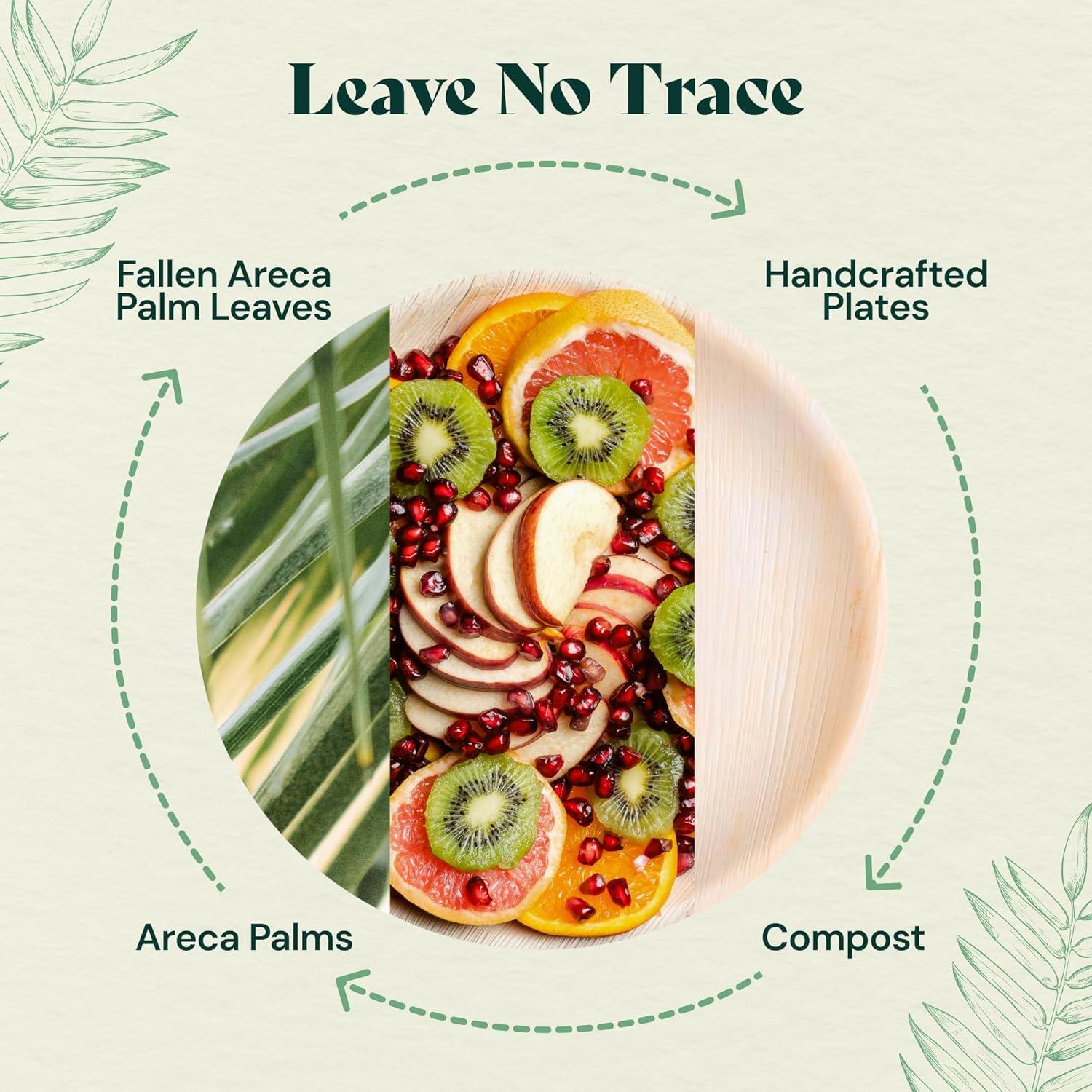 Chic Leaf, Compostable & Disposable Plates, Round, Natural Color, Palm Leaf, 48 Pc, 10” & 6”