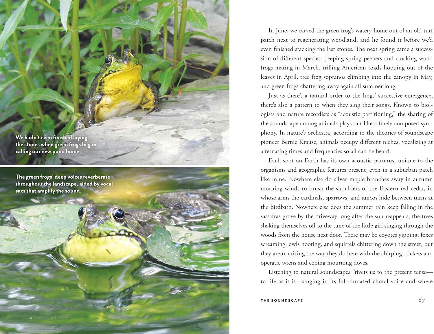 Wildscape Hardcover Book: Sensory Wonders of Nature