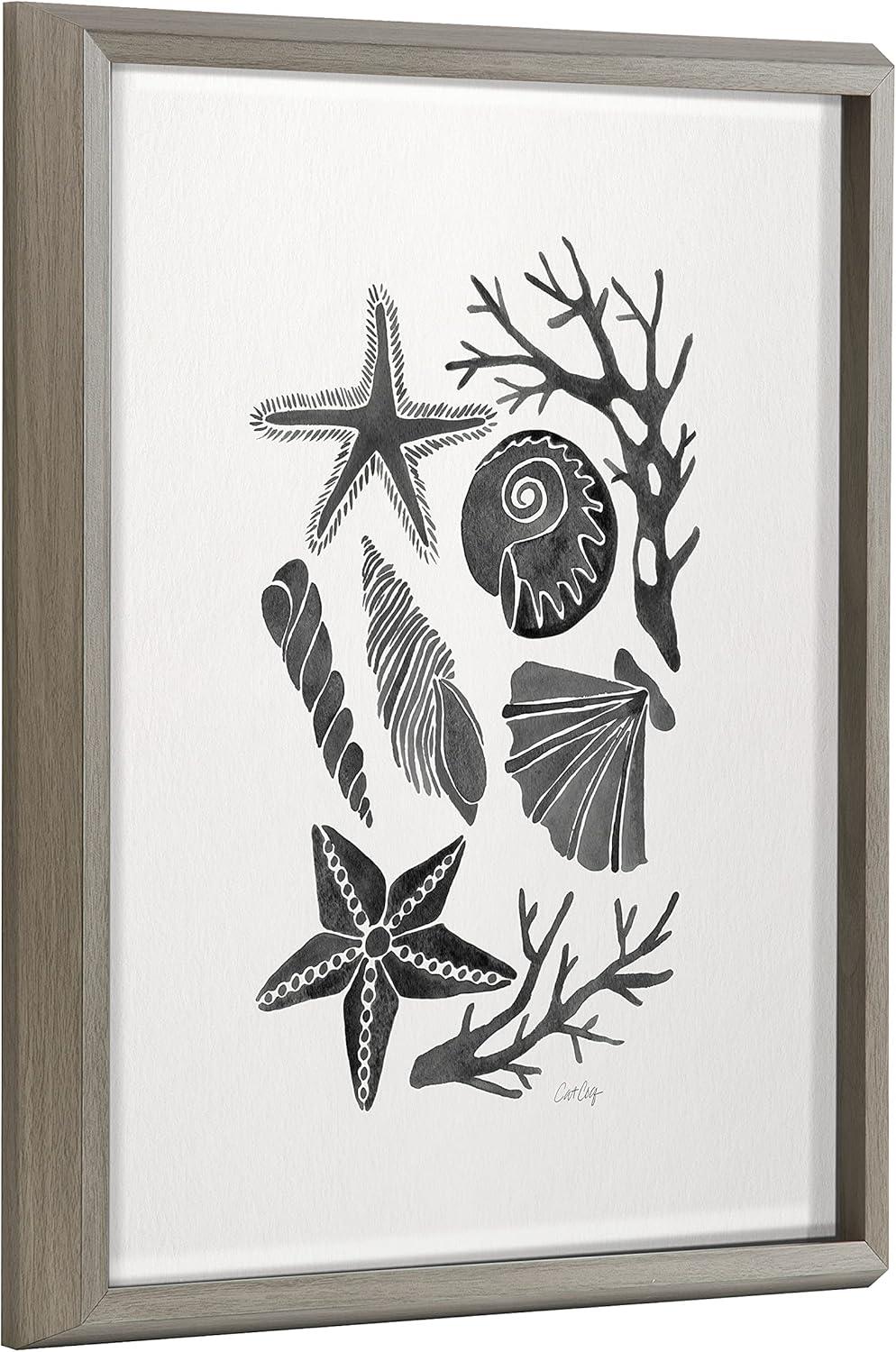 16" x 20" Blake Seashells Black by Cat Coquillette Framed Printed Glass Gray - Kate & Laurel All Things Decor