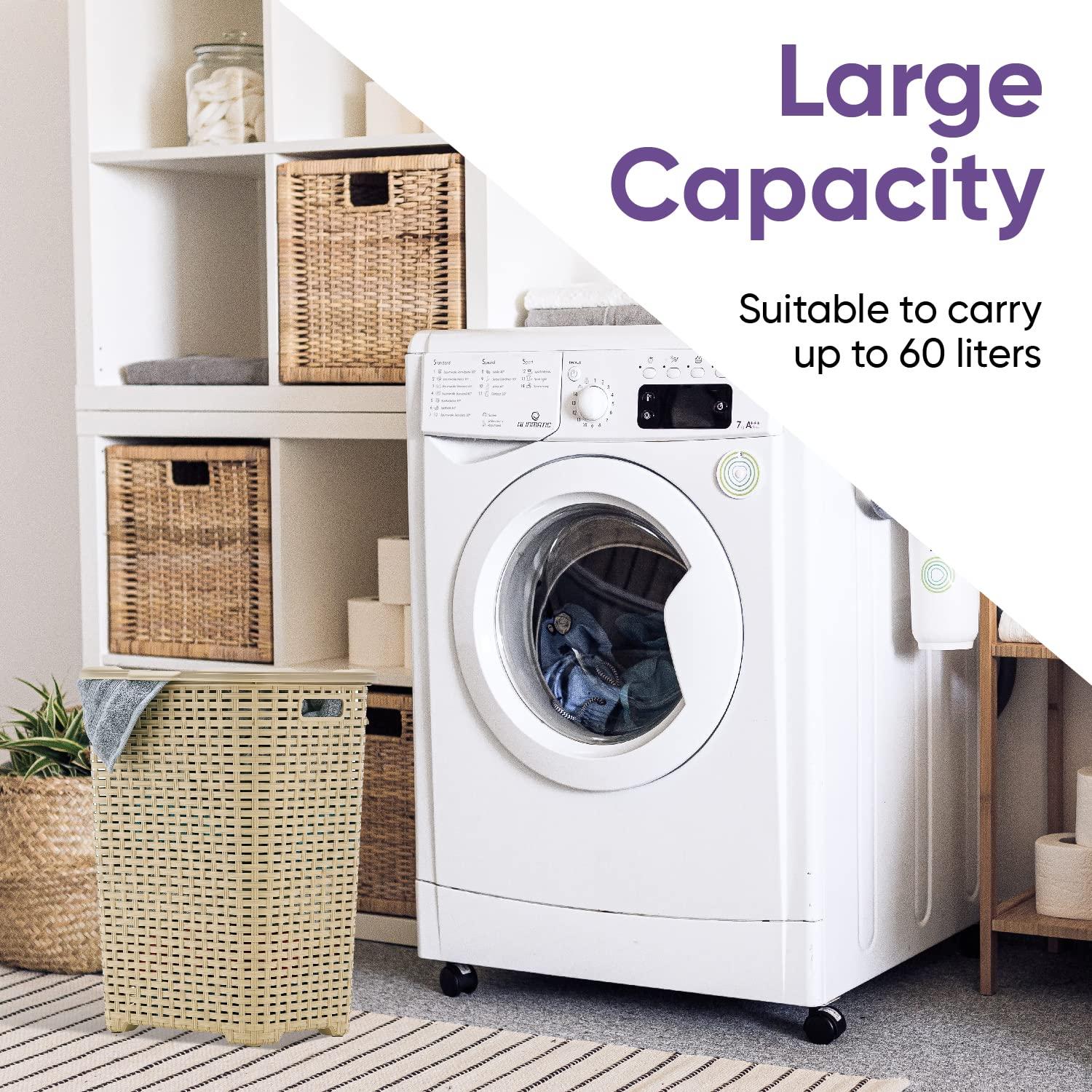 Rebrilliant Plastic Laundry Hamper with Handles
