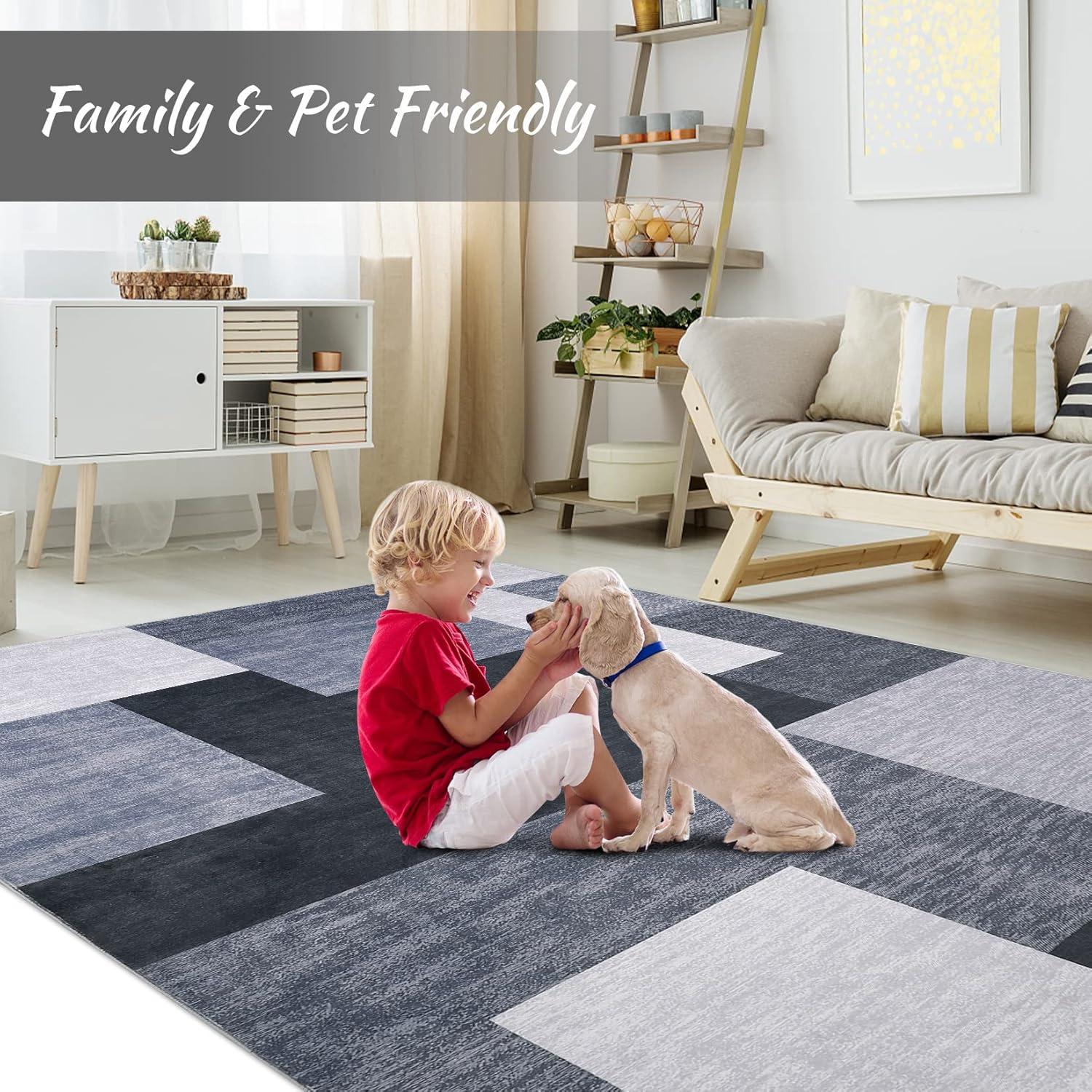 Modern Geometric Area Rug Machine Washable Rugs for Living Room Bedroom