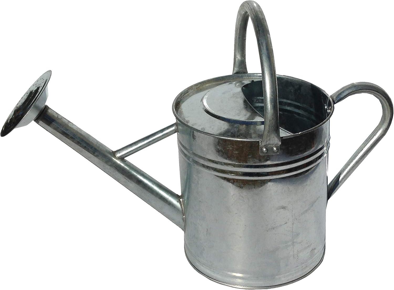 Galvanized Silver Metal Watering Can with Removable Rosette, 0.92 Gallons