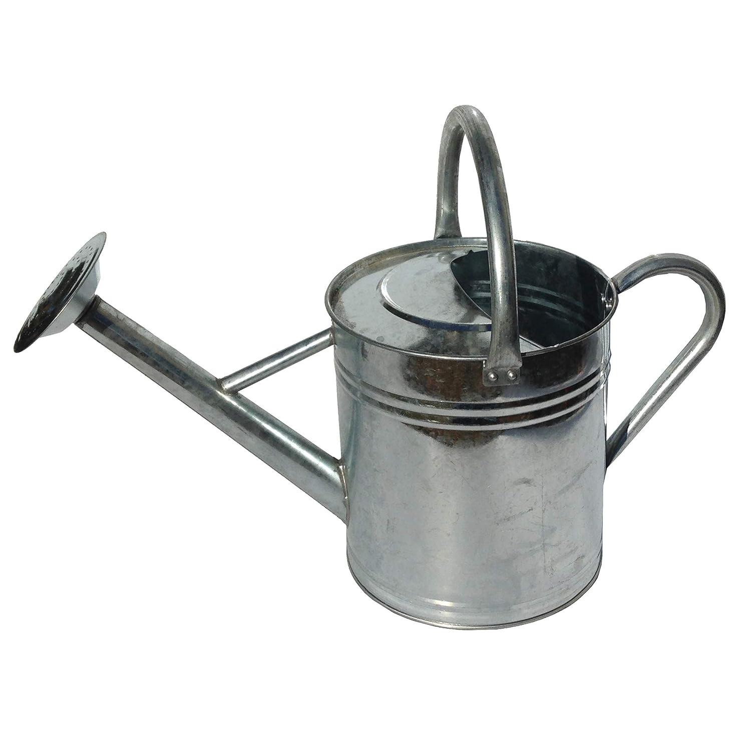 Gardener's Select Classic Metal Gardening Watering Can, Silver, 0.92 Gallon