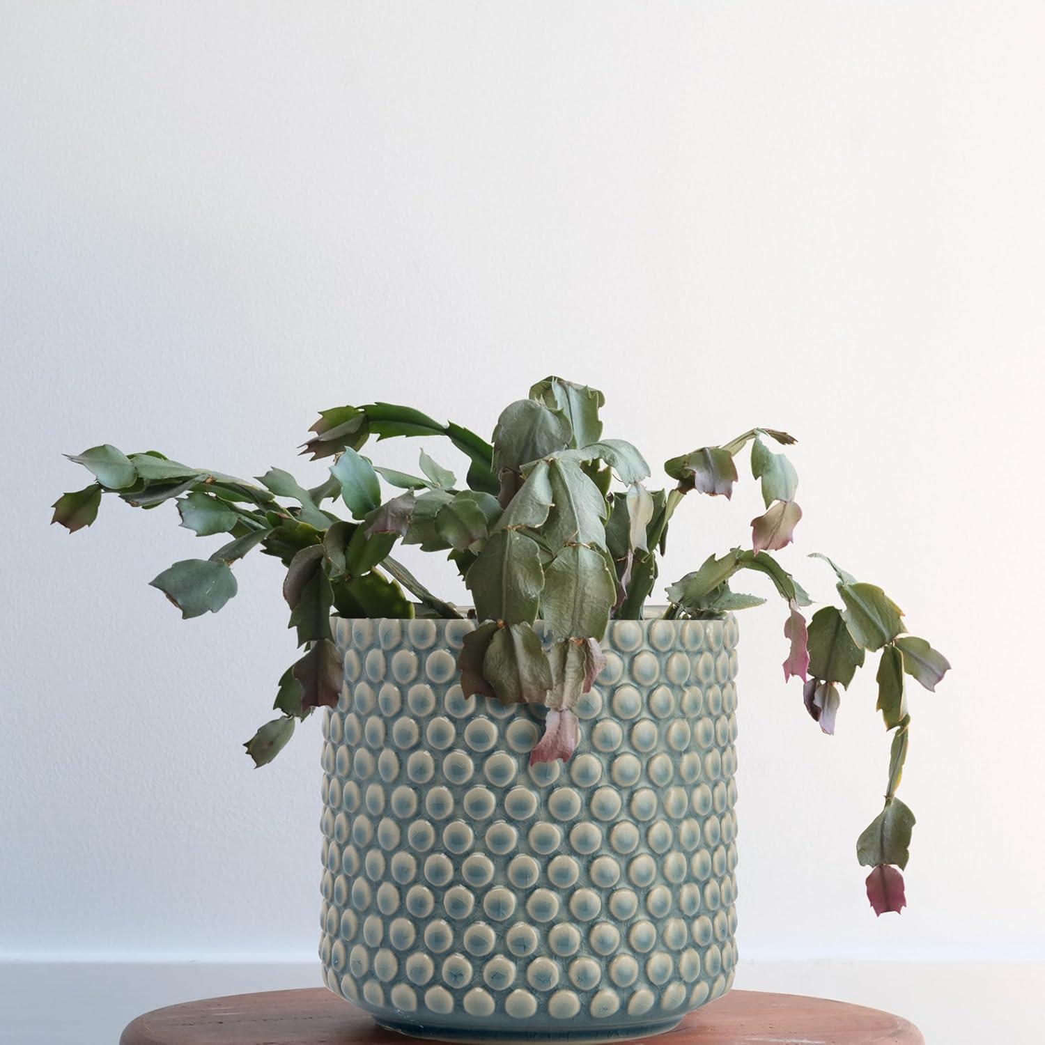 Bloomingville Round Stoneware Planter Pot with Polka Dots, Sky Blue